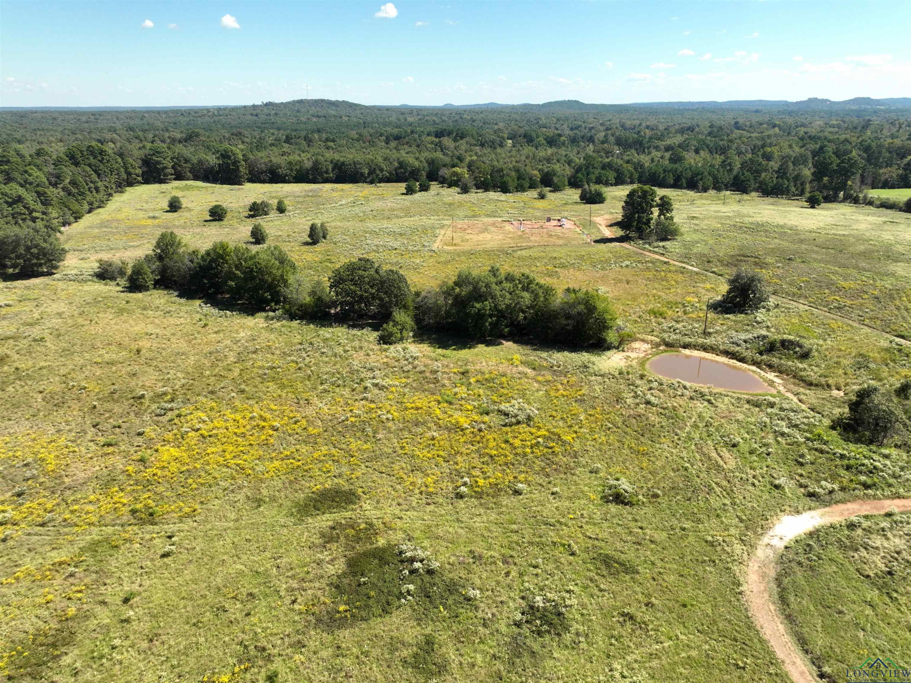 TBD Ginger Road, Gilmer, Texas image 16