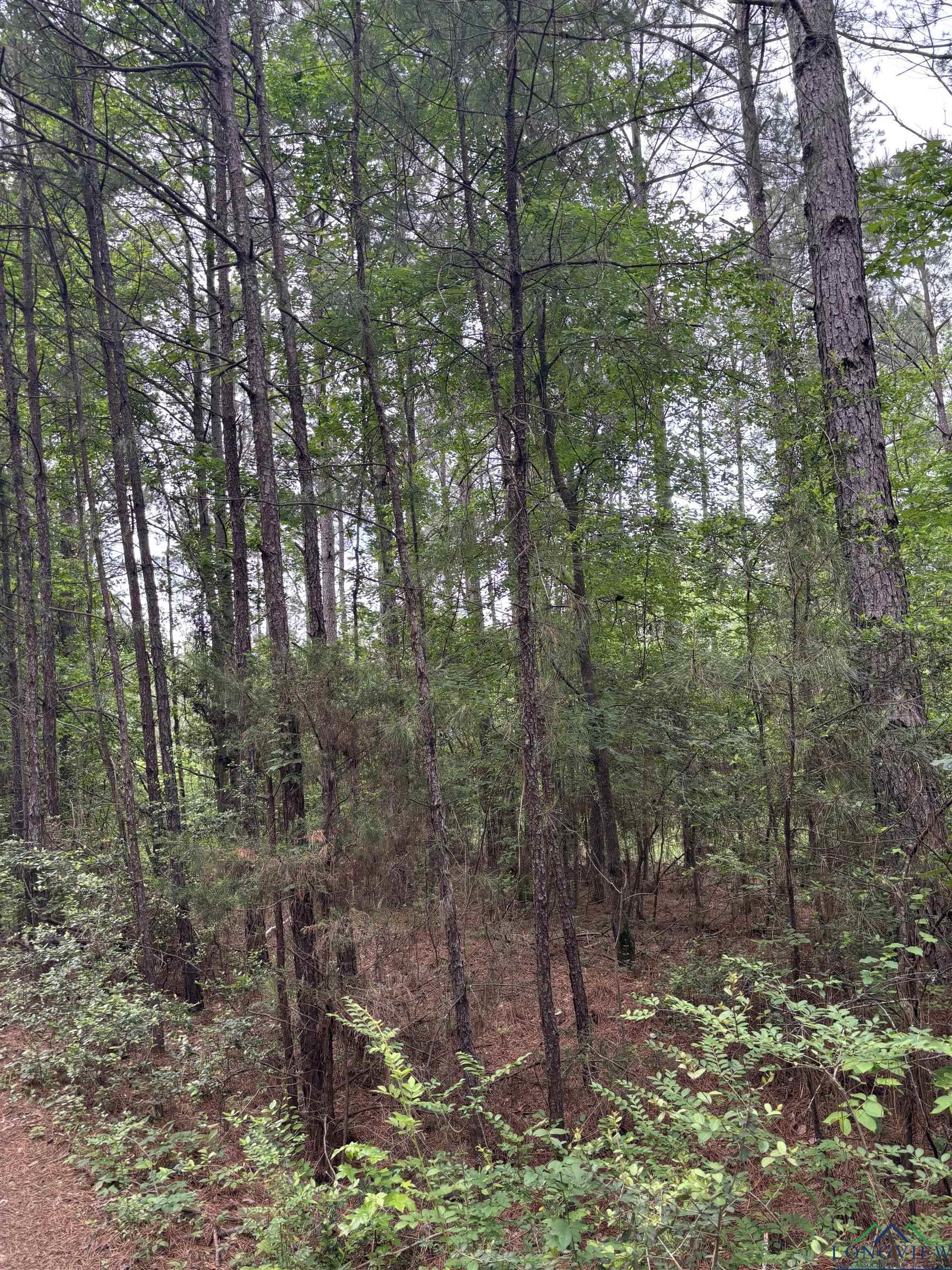 Private Road, Long Branch, Texas image 4