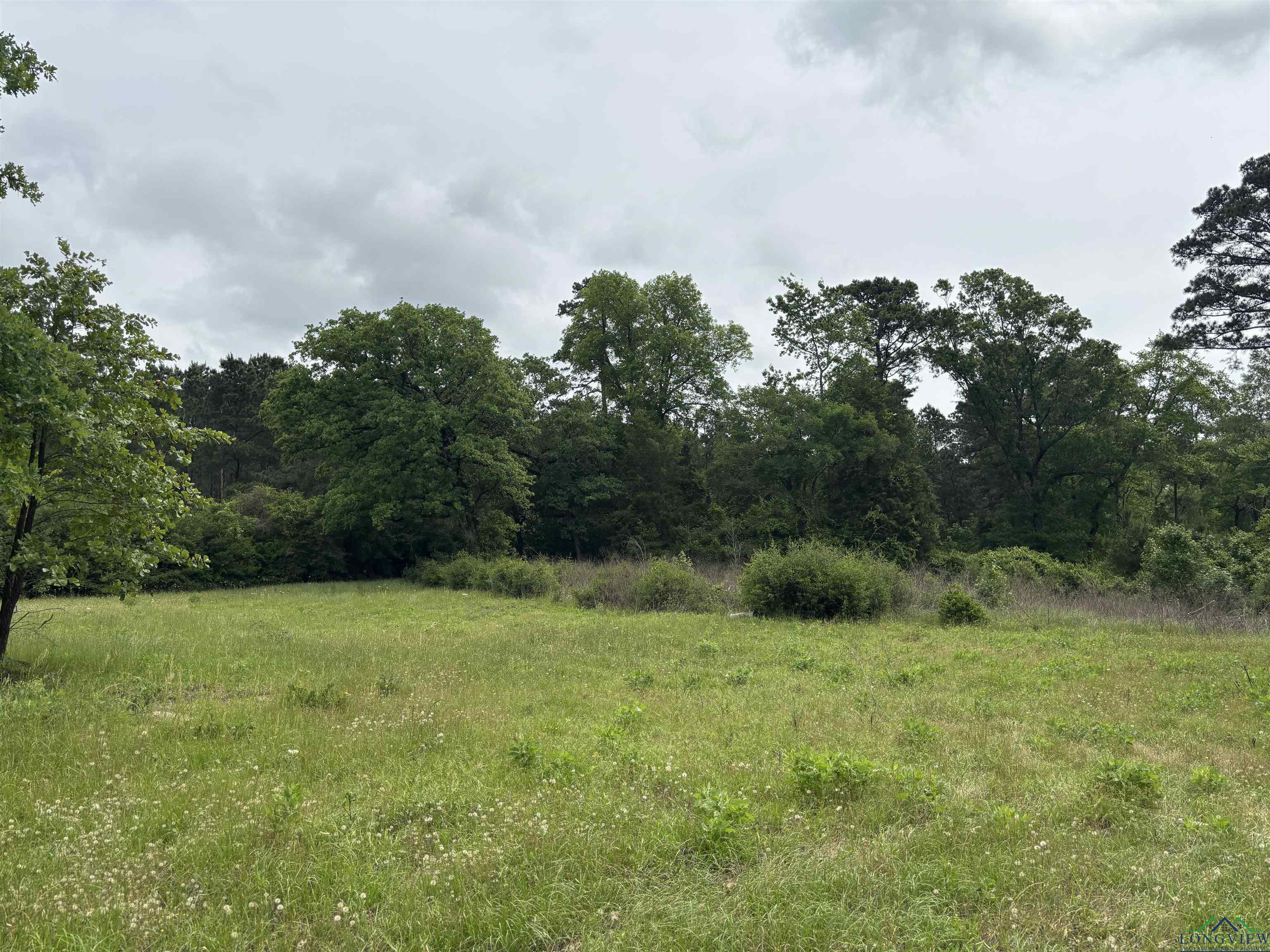 Private Road, Long Branch, Texas image 16