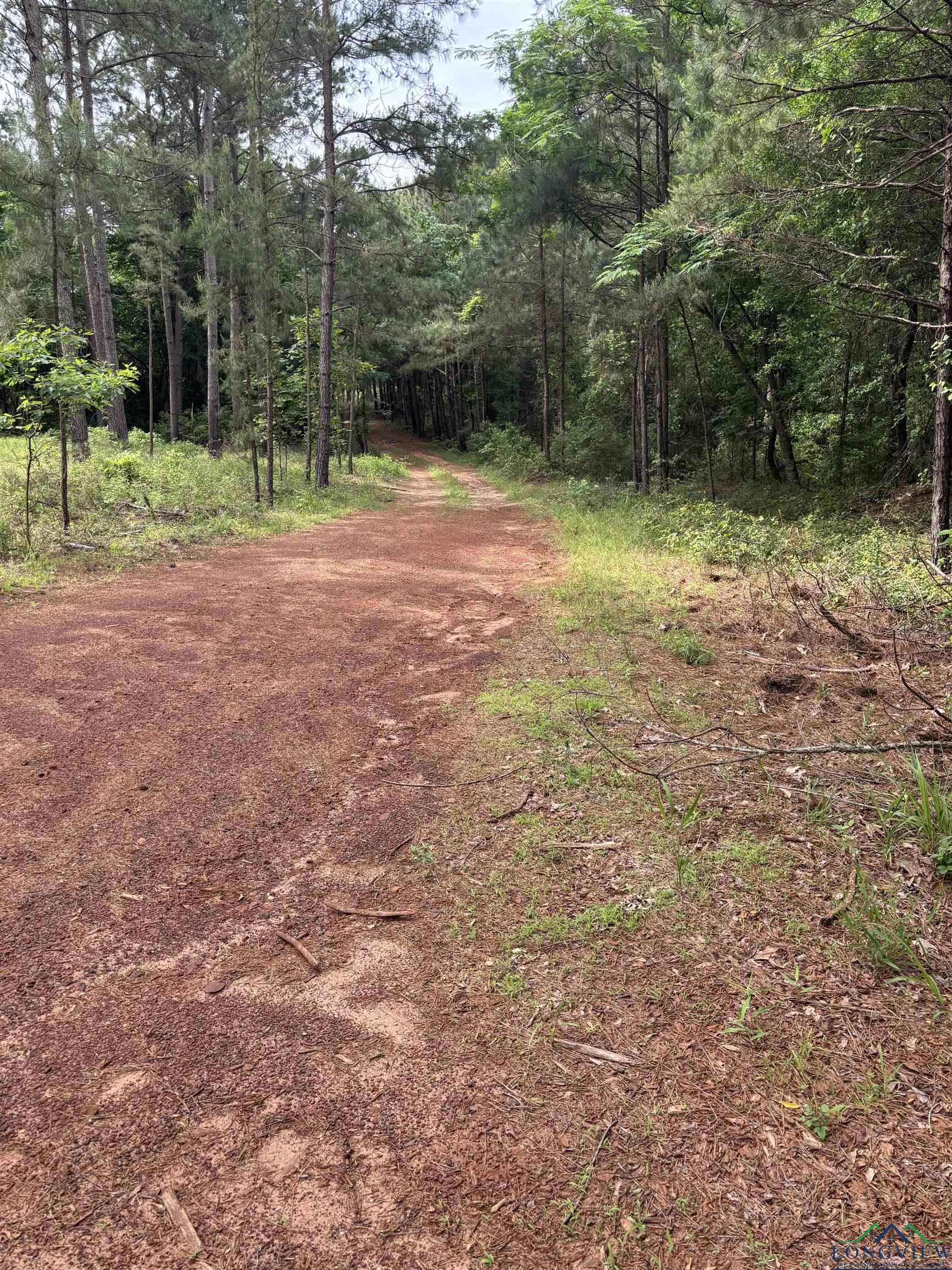 Private Road, Long Branch, Texas image 1