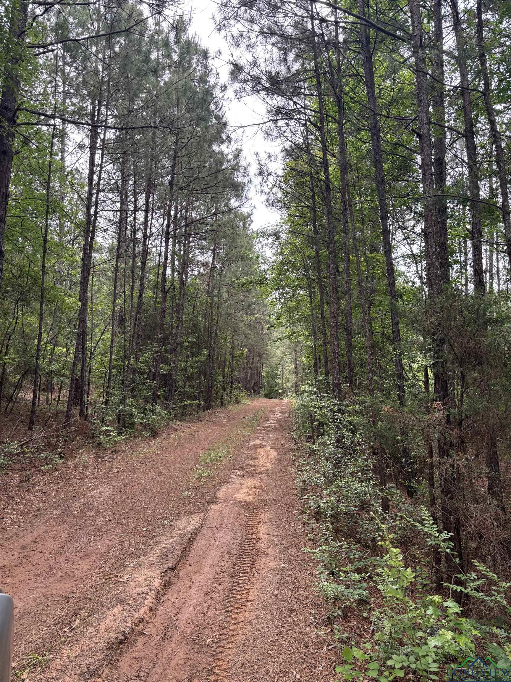 Private Road, Long Branch, Texas image 5
