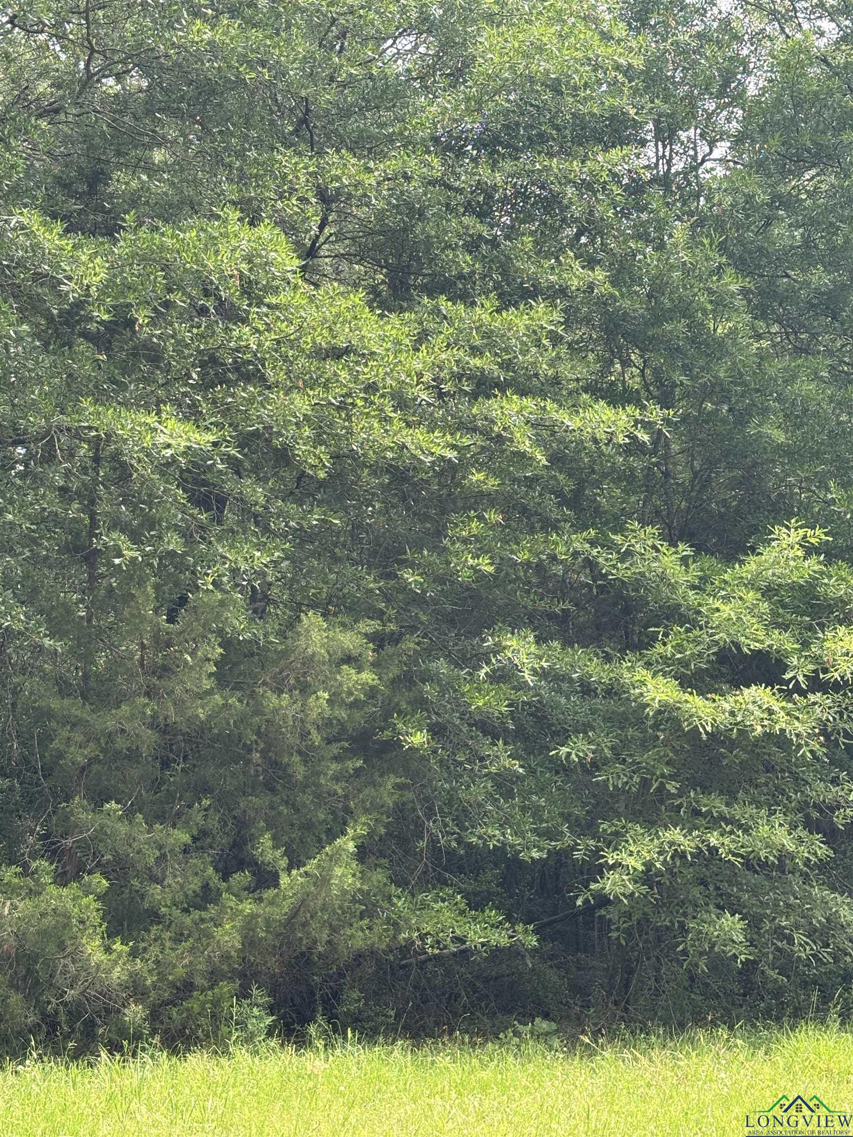 Private Road, Long Branch, Texas image 14