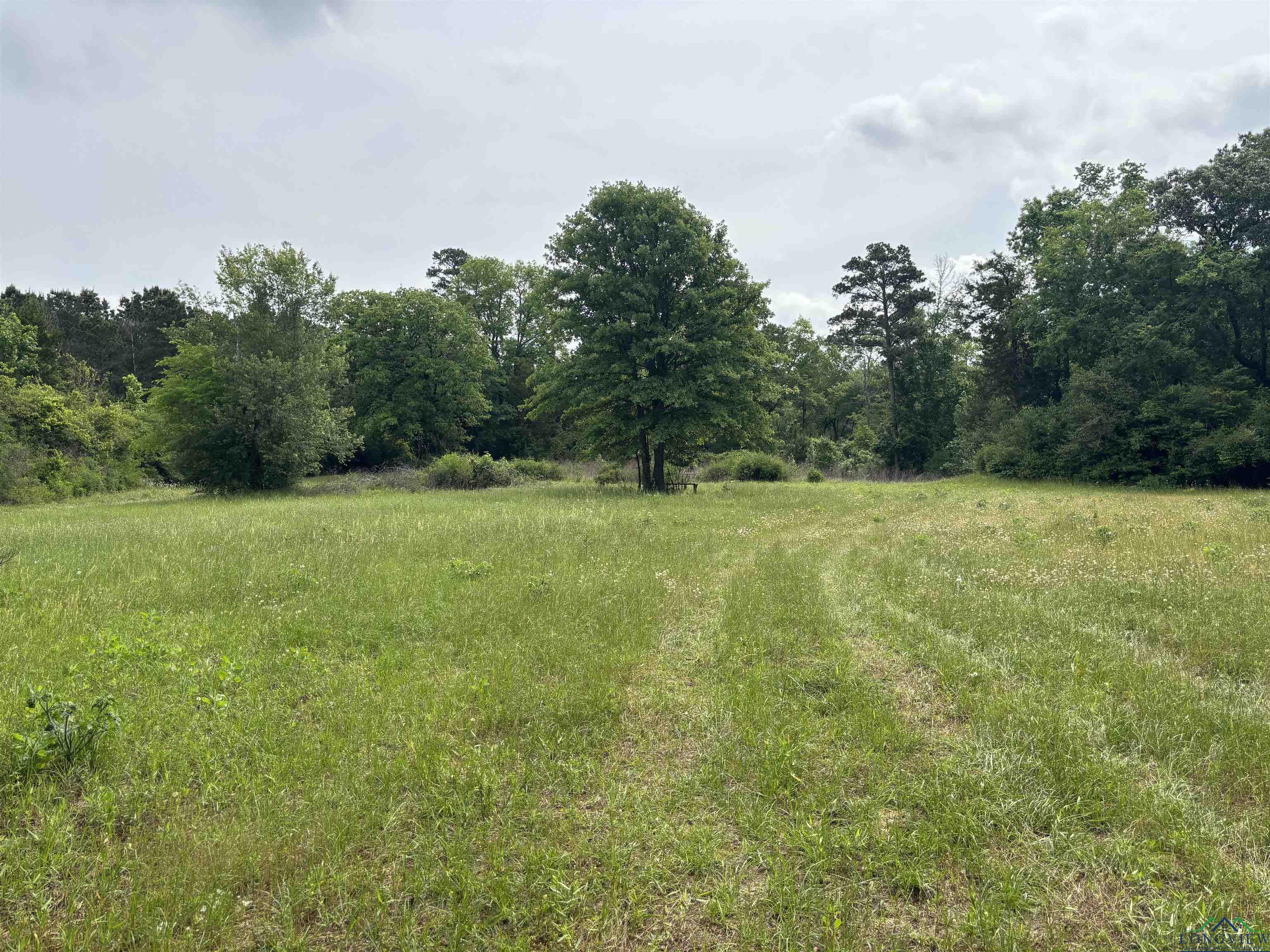 Private Road, Long Branch, Texas image 9