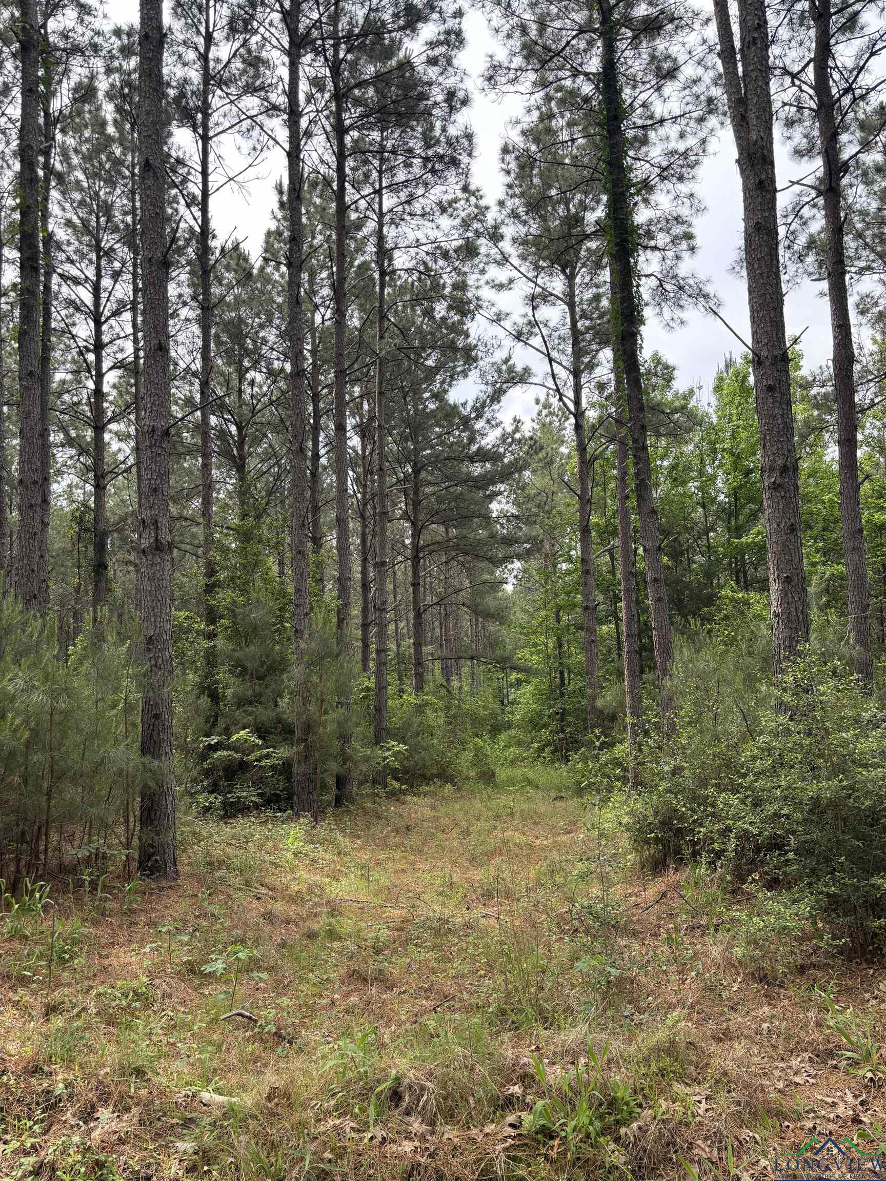 Private Road, Long Branch, Texas image 6