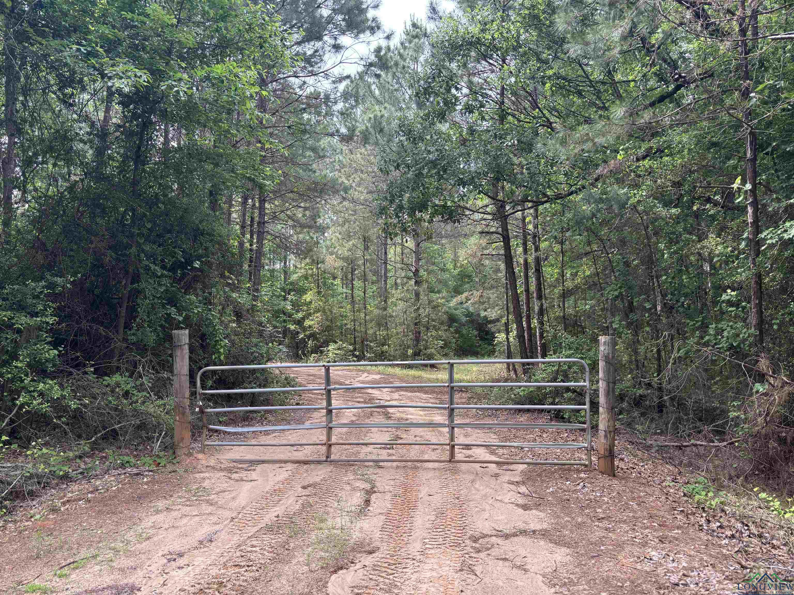 Private Road, Long Branch, Texas image 2