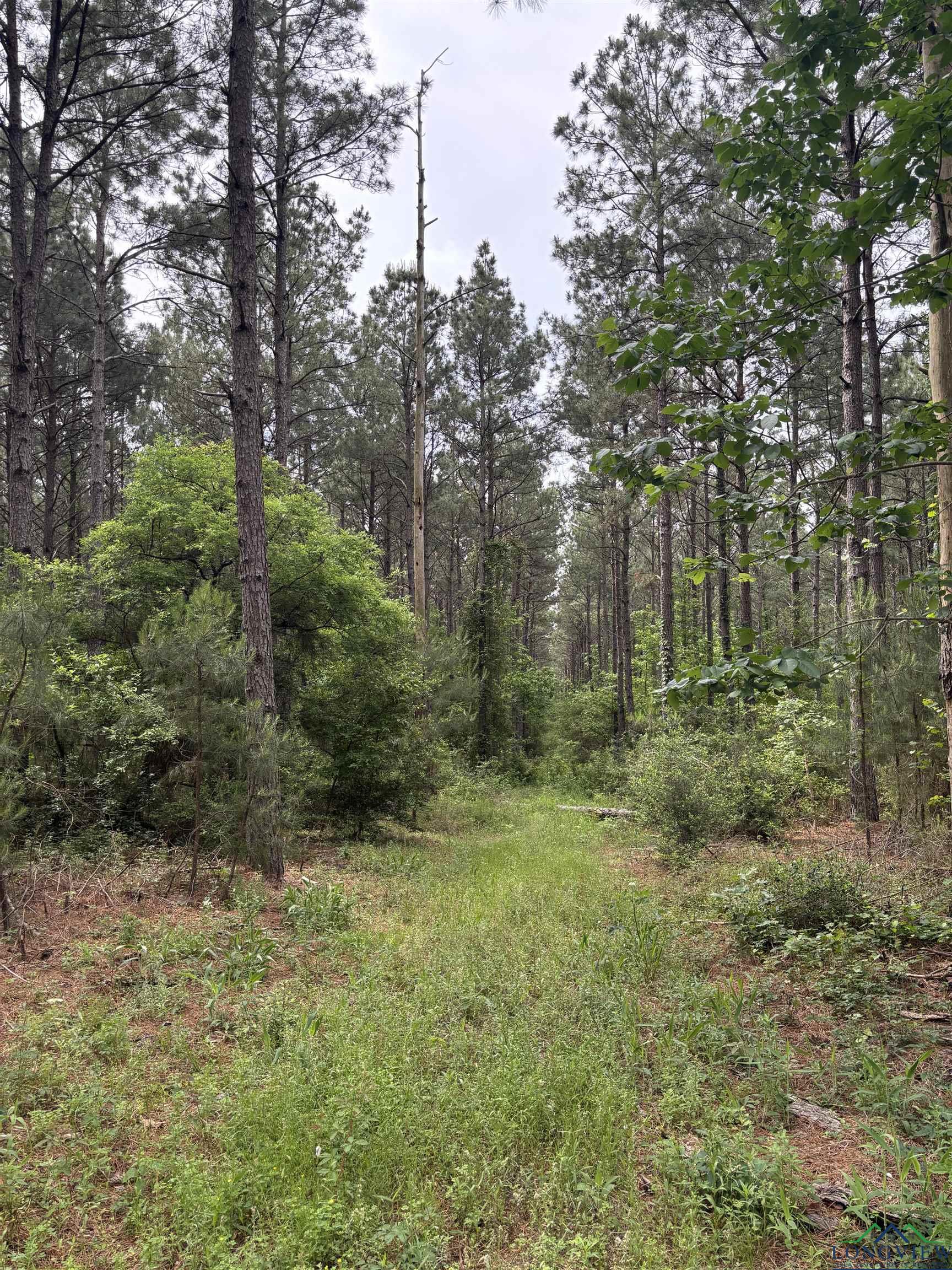 Private Road, Long Branch, Texas image 8