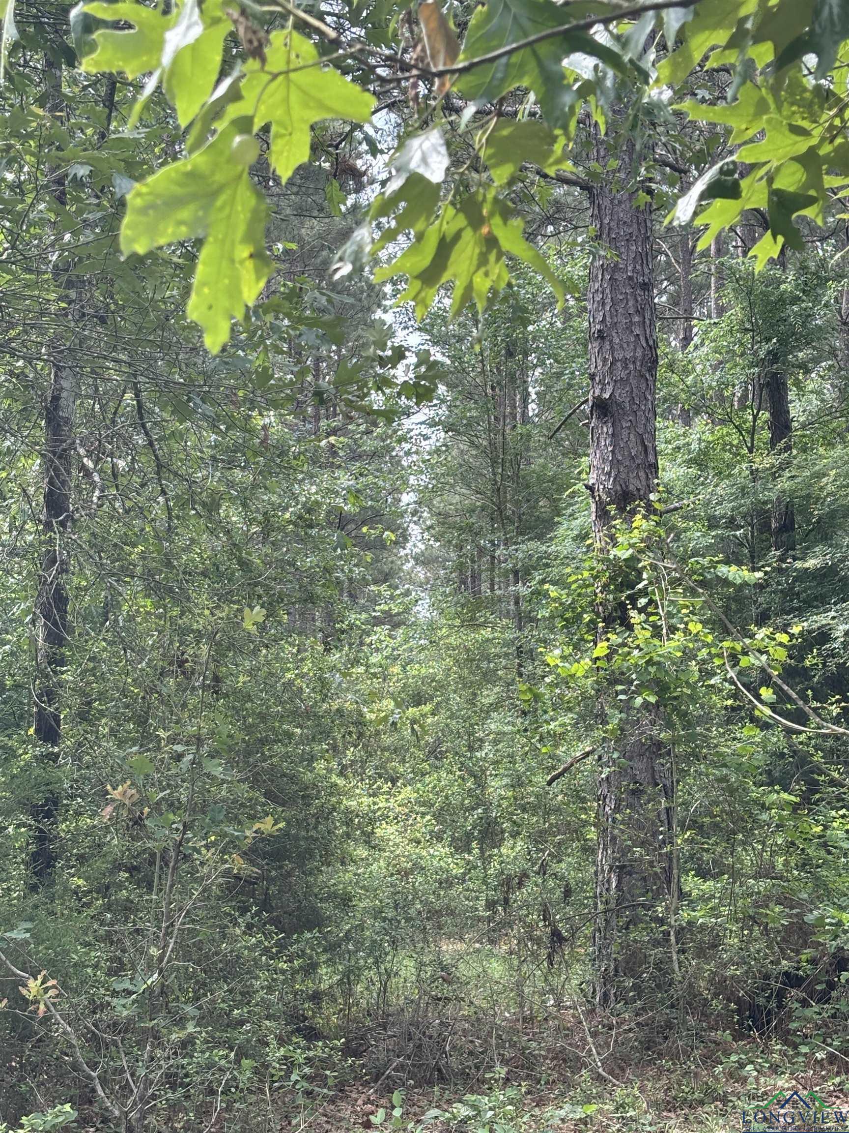 Private Road, Long Branch, Texas image 15