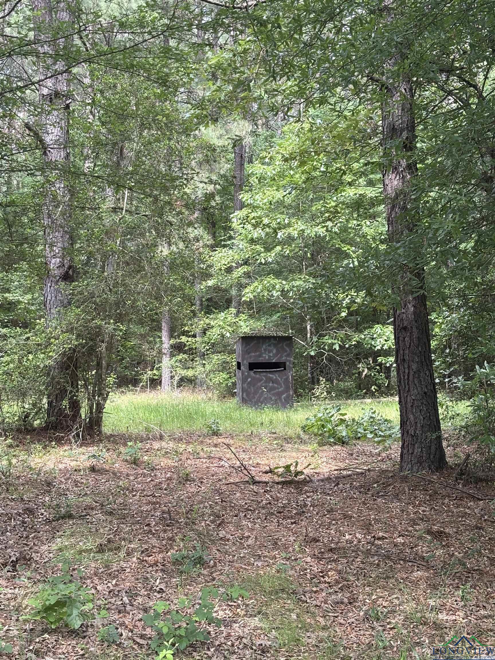 Private Road, Long Branch, Texas image 12