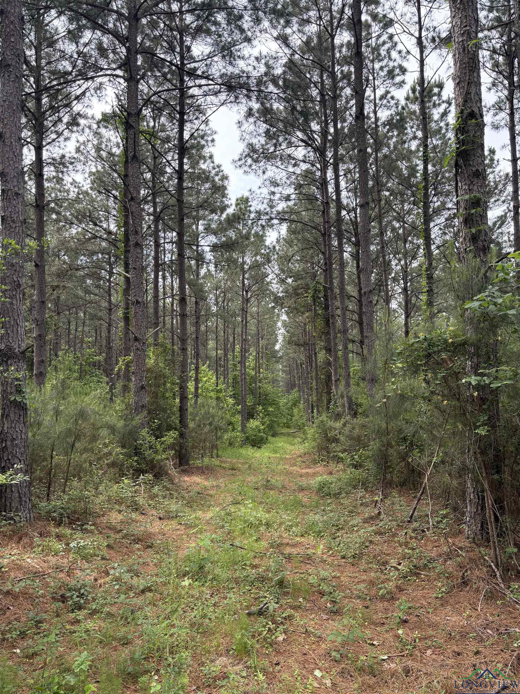 Private Road, Long Branch, Texas image 7
