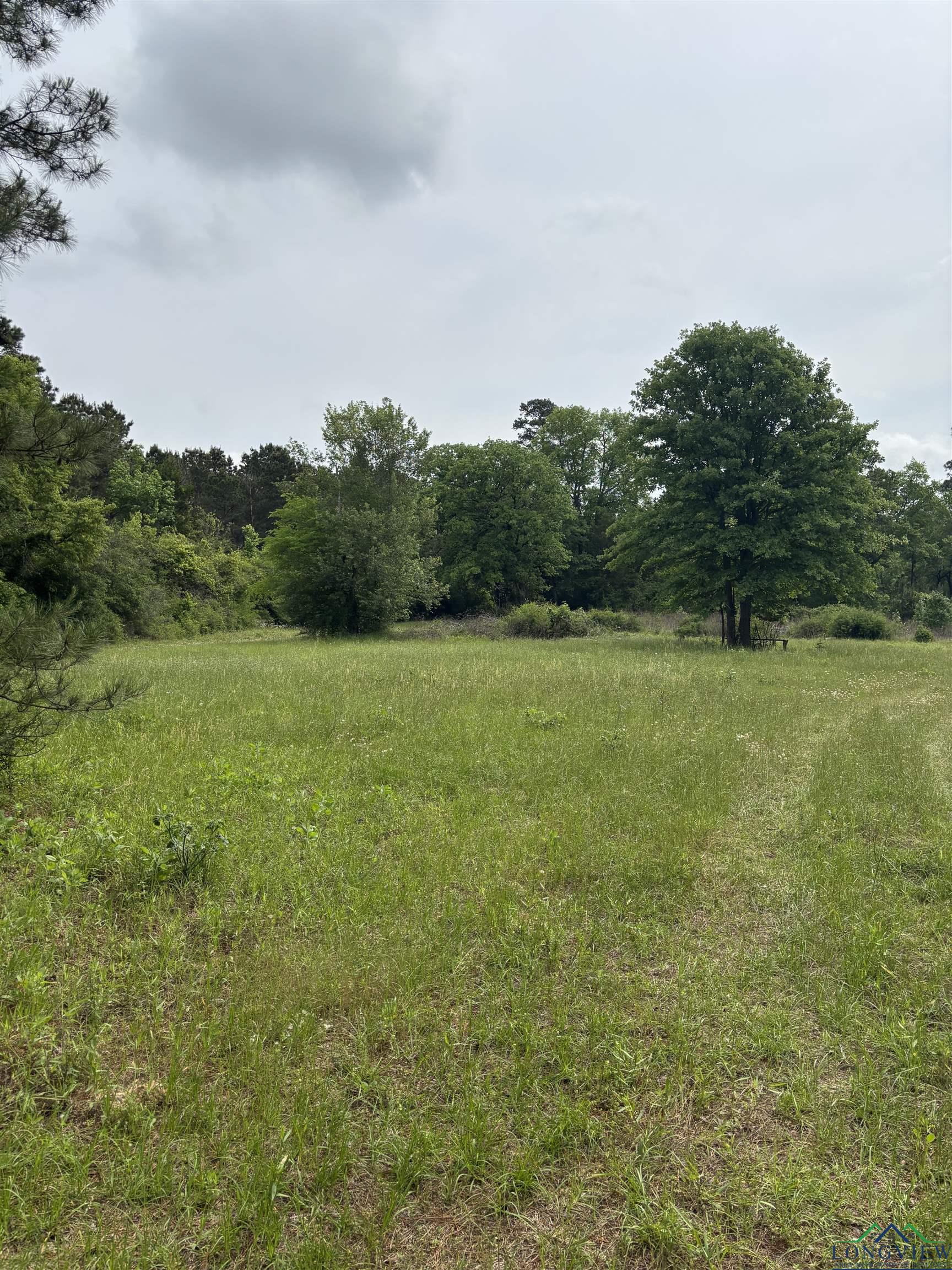 Private Road, Long Branch, Texas image 10
