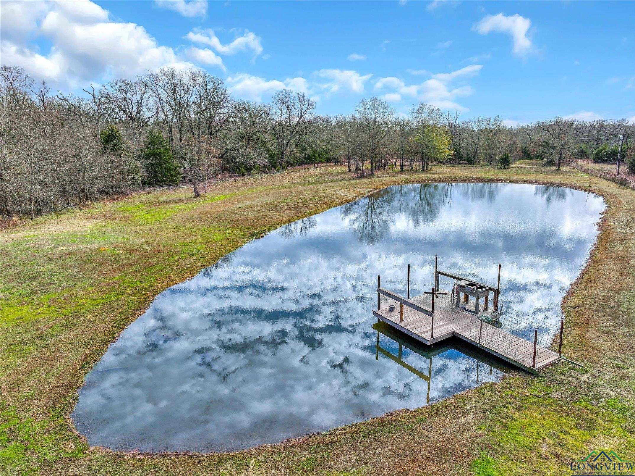 803 Vz County Road 1217, Canton, Texas image 35