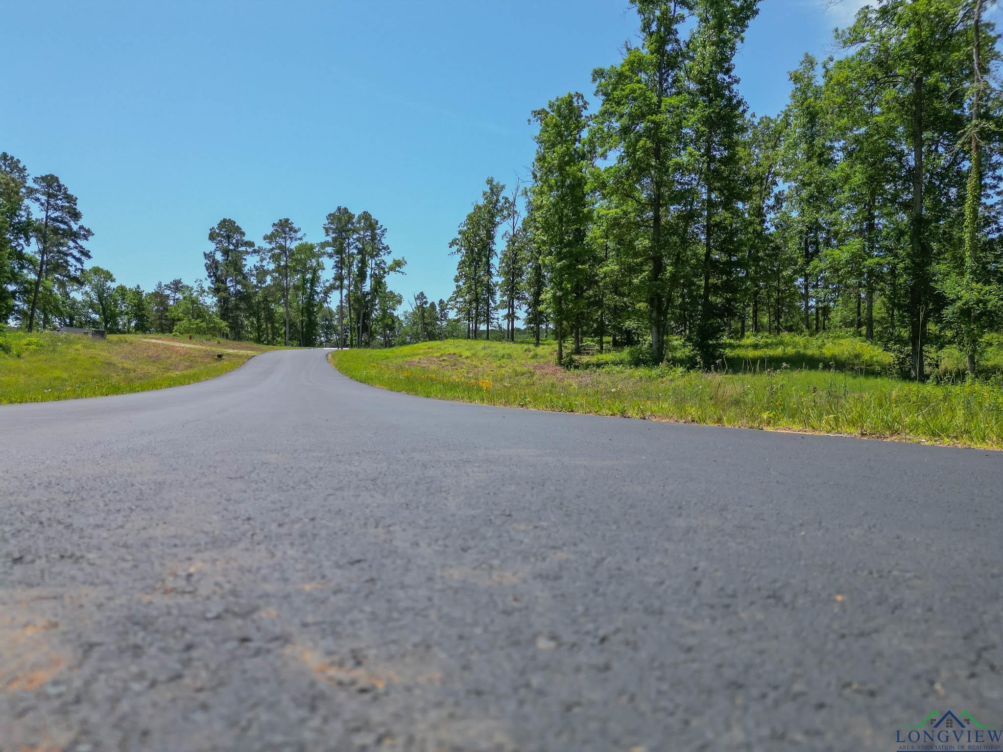 LT 80 Granite Ln, Hallsville, Texas image 18
