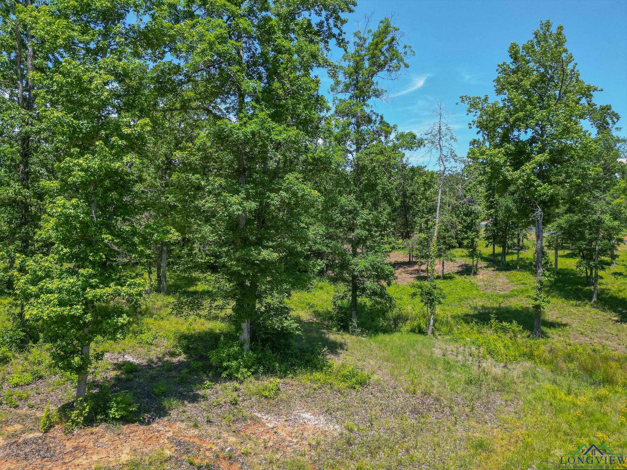 LT 80 Granite Ln, Hallsville, Texas image 7