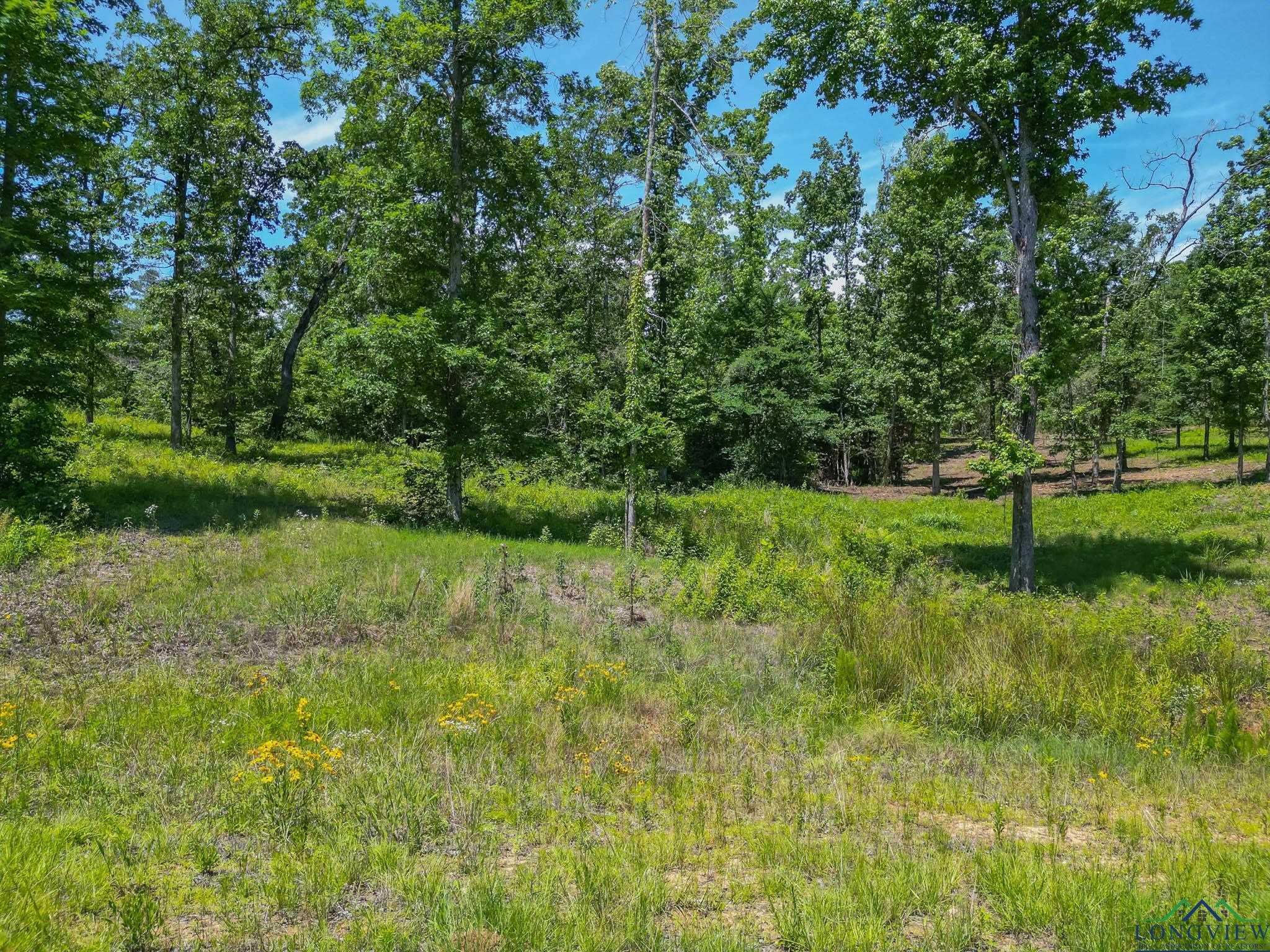 LT 80 Granite Ln, Hallsville, Texas image 6