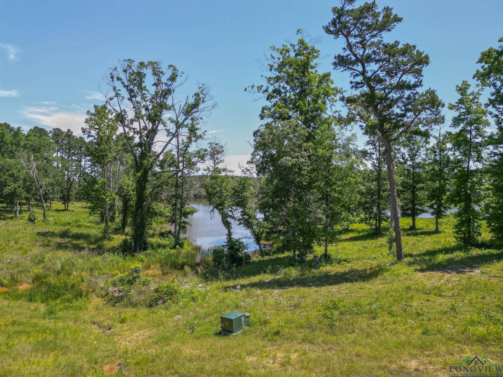 LT 80 Granite Ln, Hallsville, Texas image 8