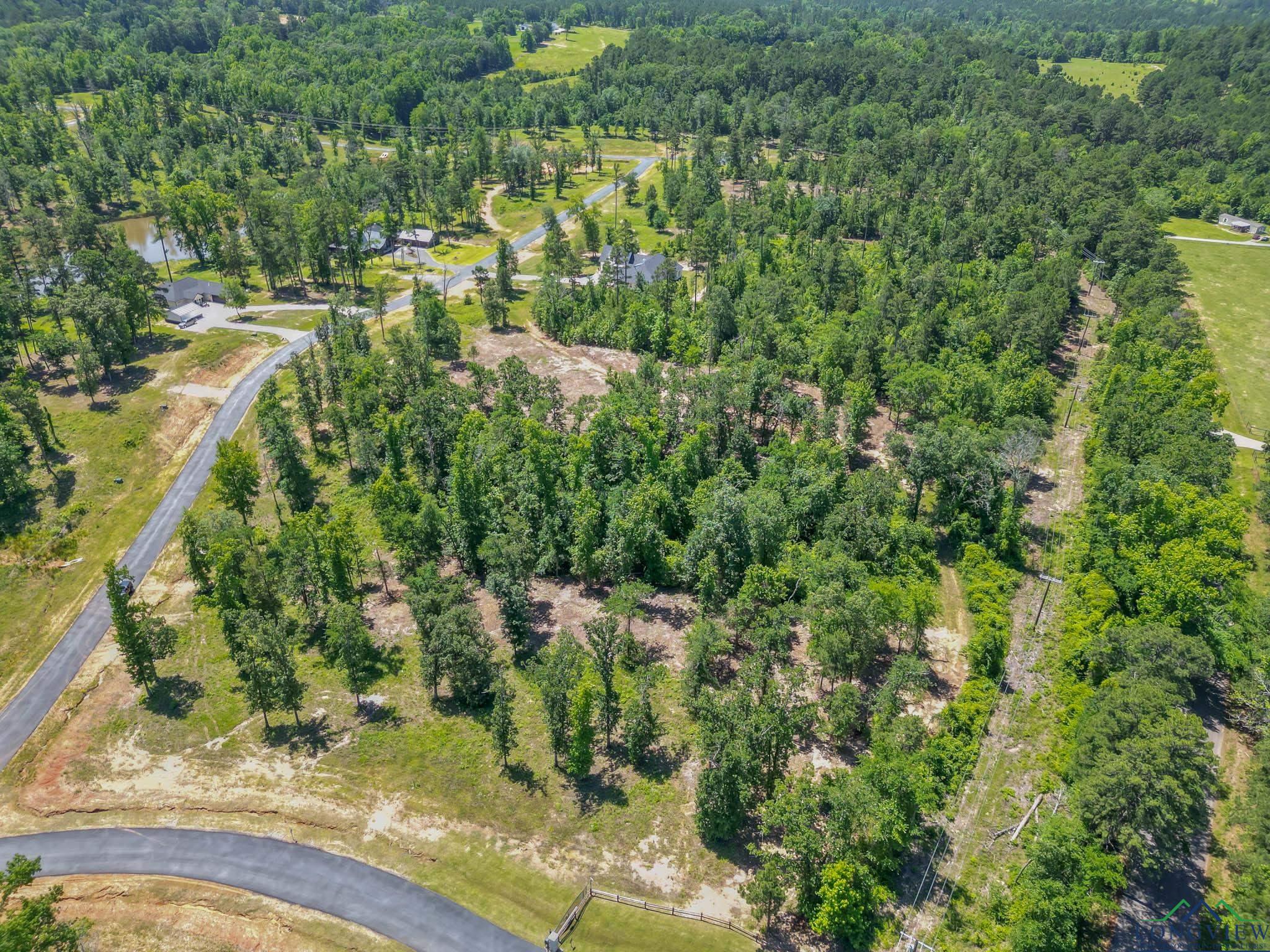 LT 80 Granite Ln, Hallsville, Texas image 12