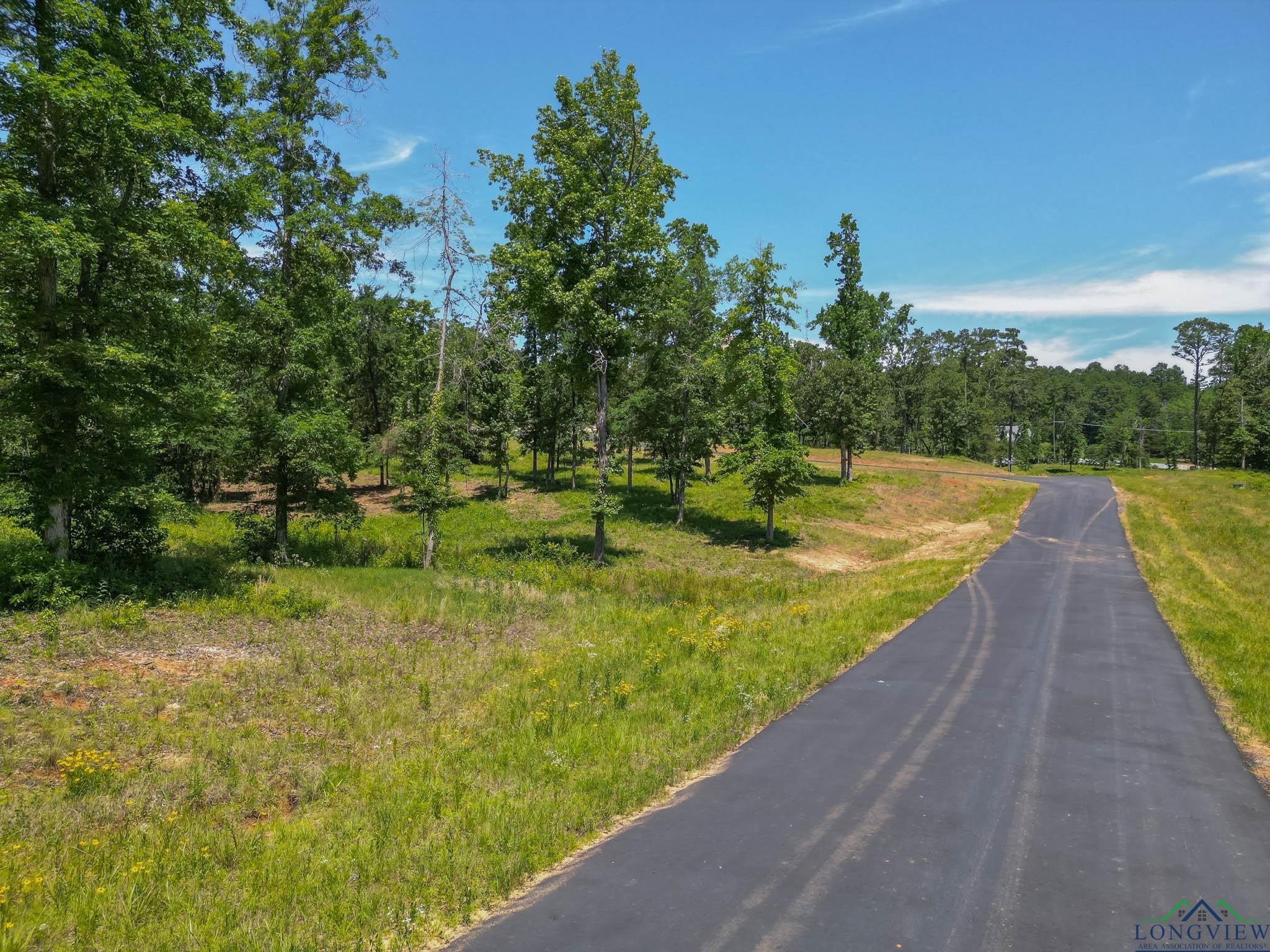 LT 80 Granite Ln, Hallsville, Texas image 4