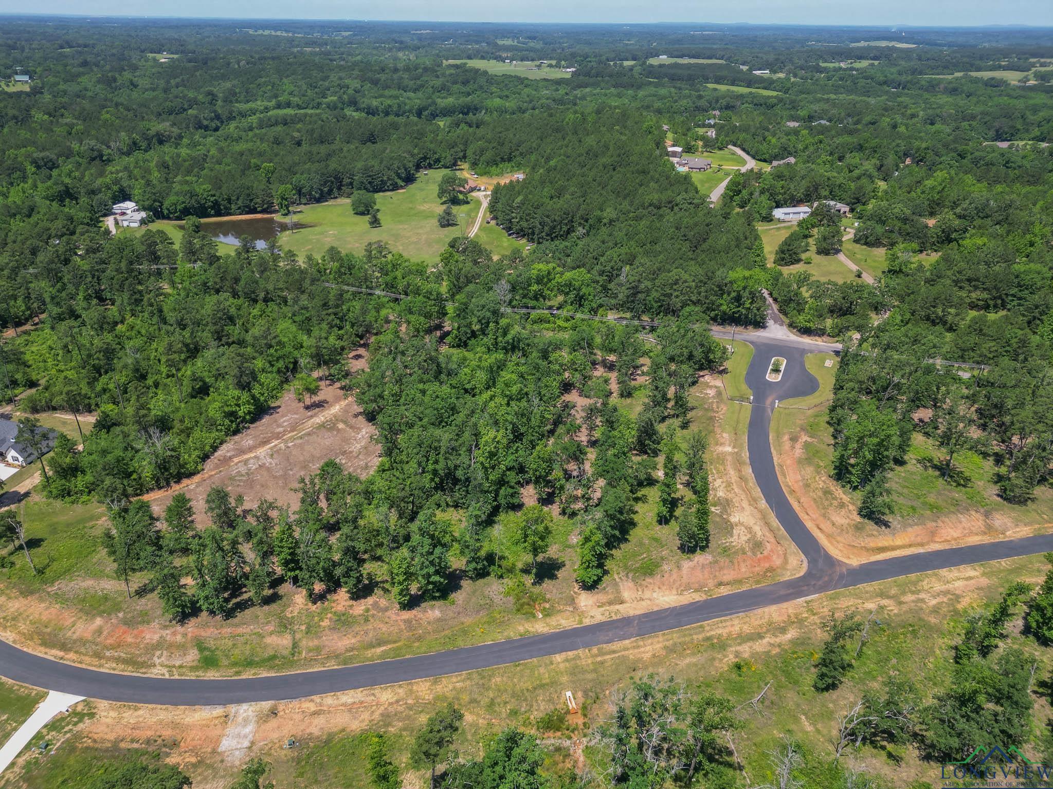 LT 80 Granite Ln, Hallsville, Texas image 17