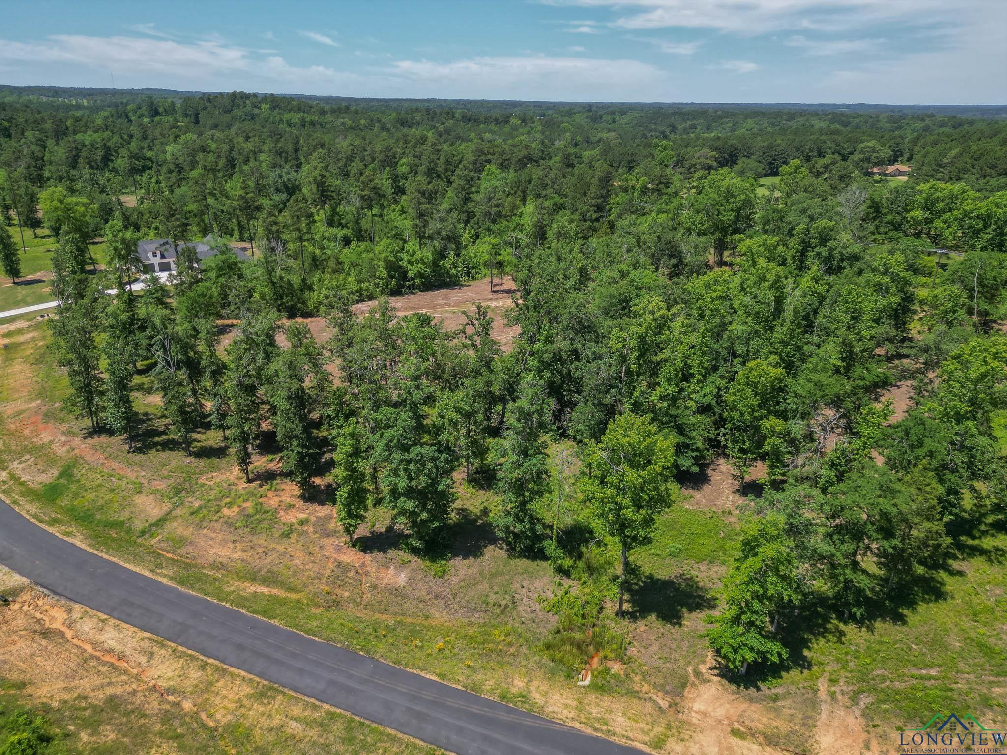 LT 80 Granite Ln, Hallsville, Texas image 10