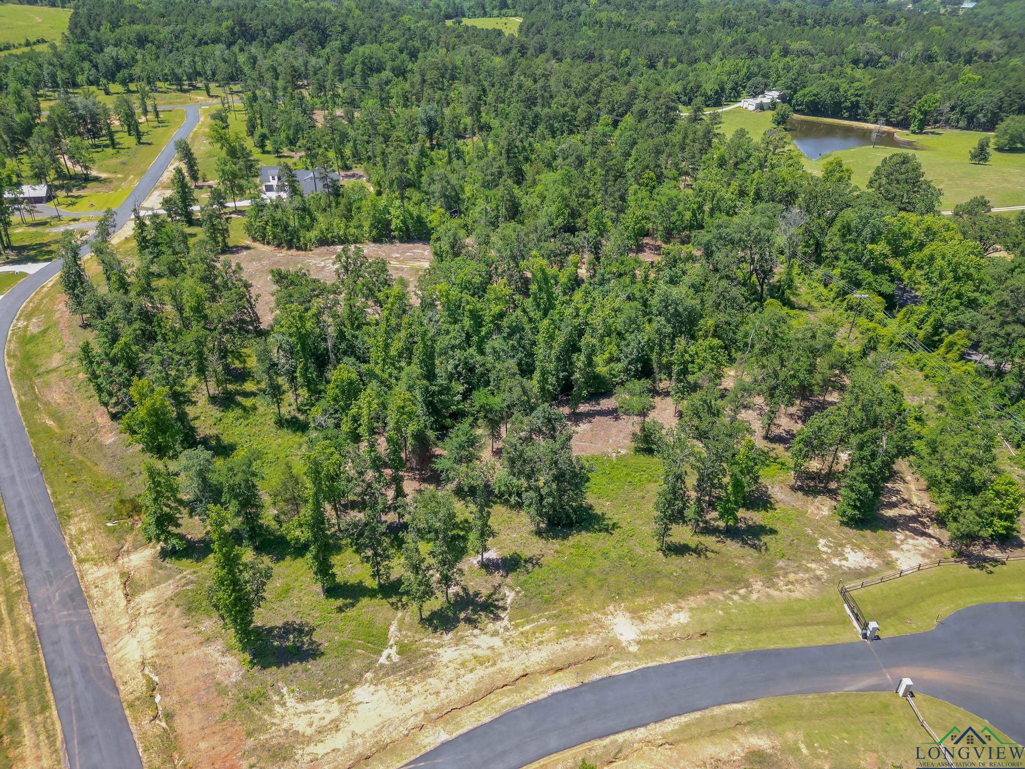 LT 80 Granite Ln, Hallsville, Texas image 11
