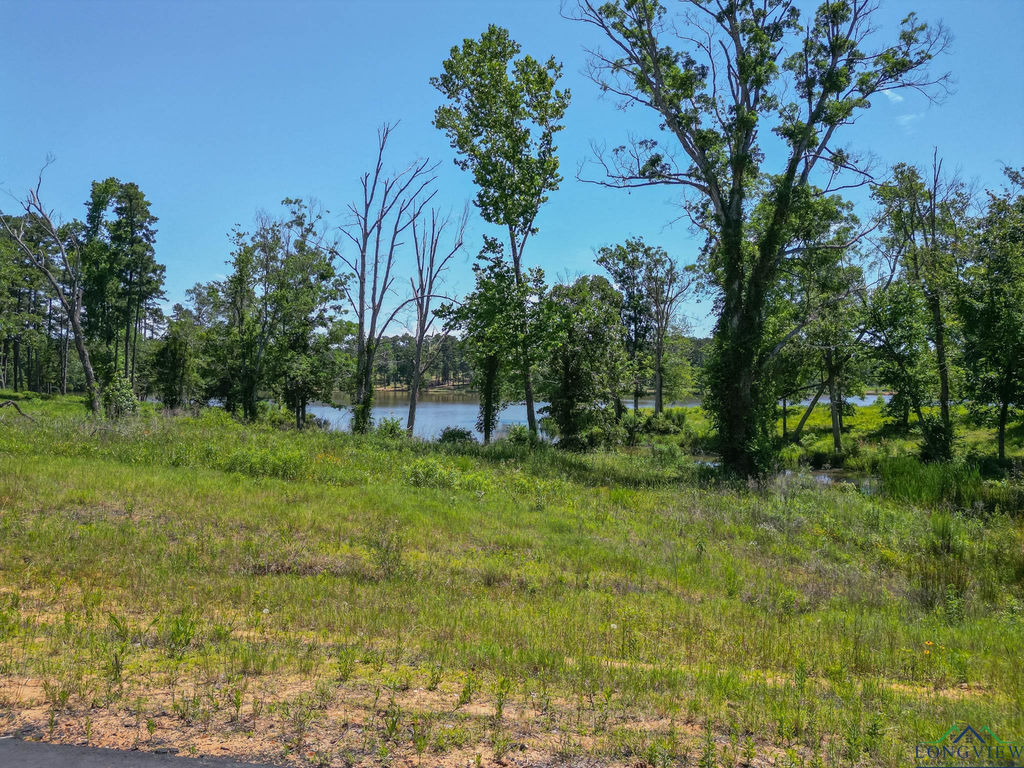 LT 80 Granite Ln, Hallsville, Texas image 9