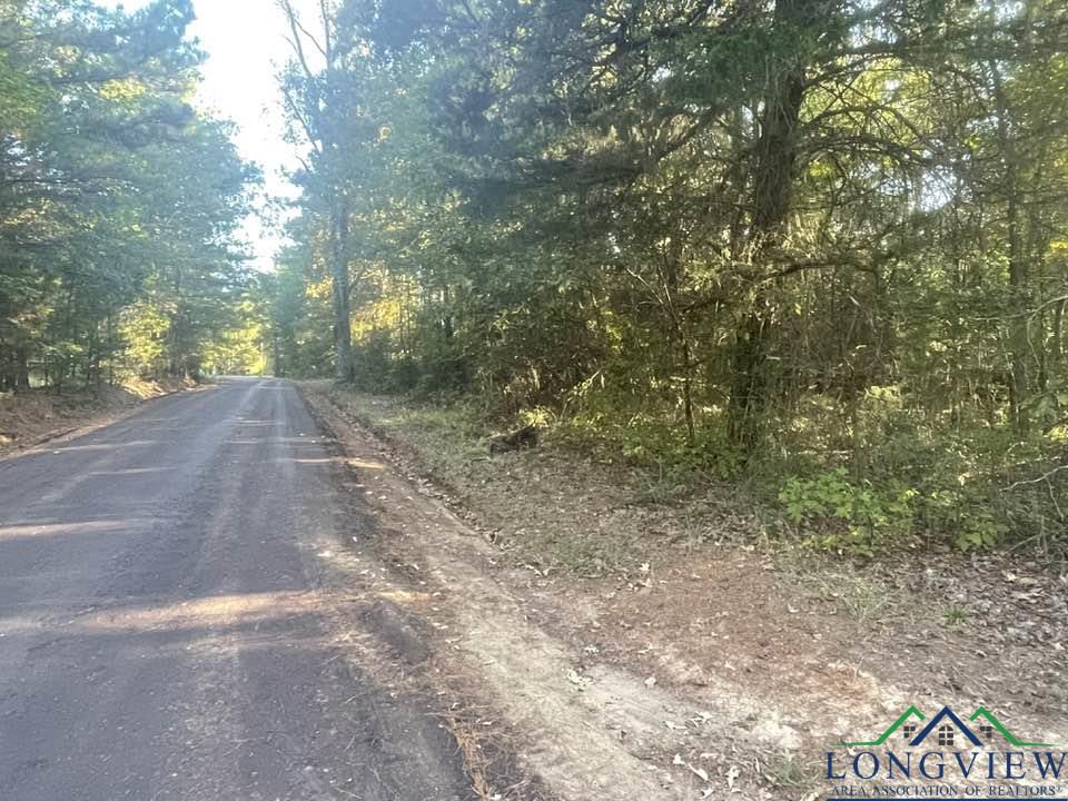 TBD County Road 295, Kilgore, Texas image 1