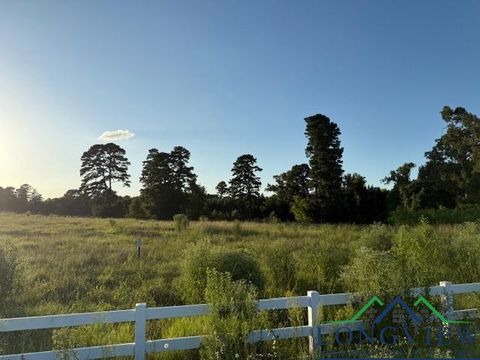 Vacant Land For Sale - TBD Hwy 271 (main Street)<br/> Gladewater, TX 75647