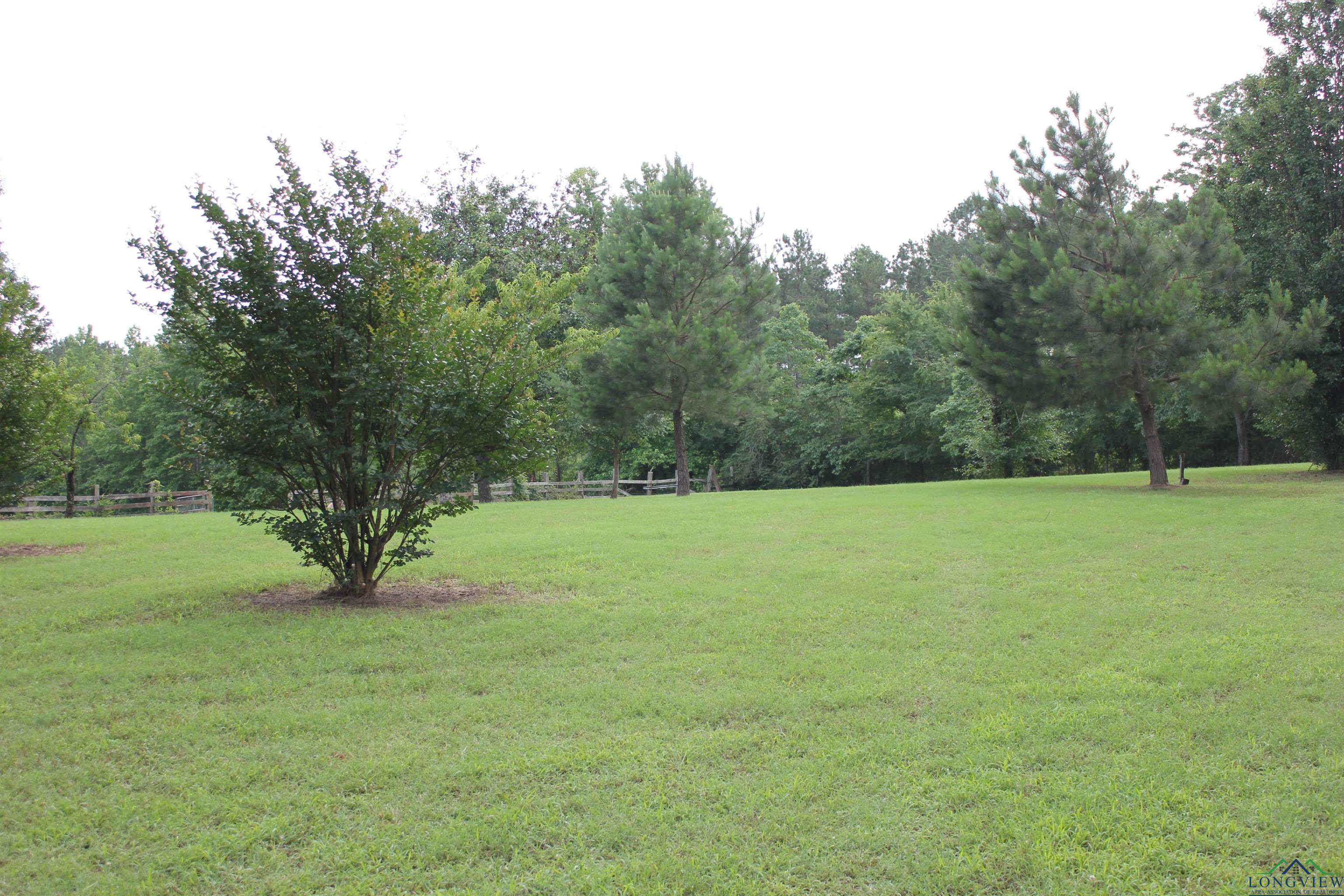 3610 Fm 249, Bloomburg, Texas image 6