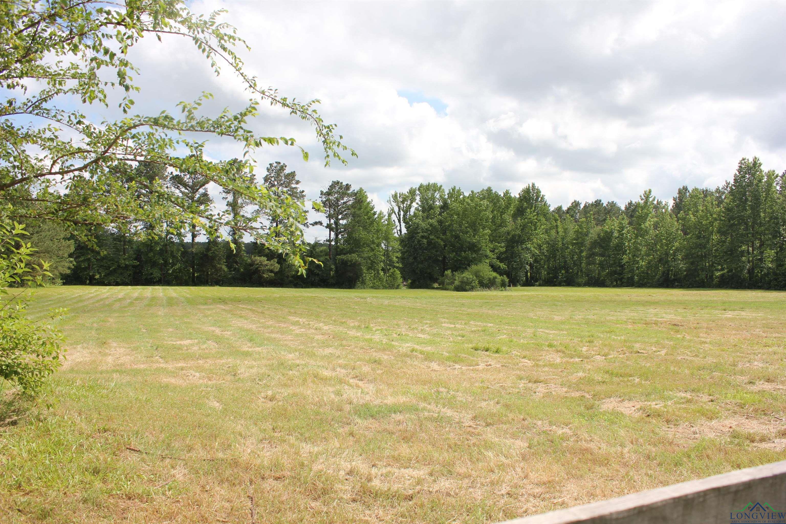 3610 Fm 249, Bloomburg, Texas image 13