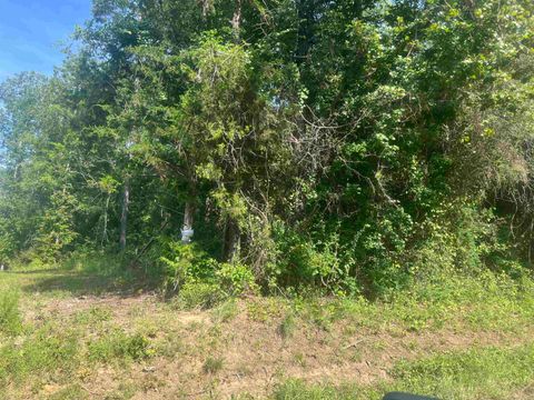 Vacant Land For Sale - TBD Cr 337<br/> De Berry, TX 75672