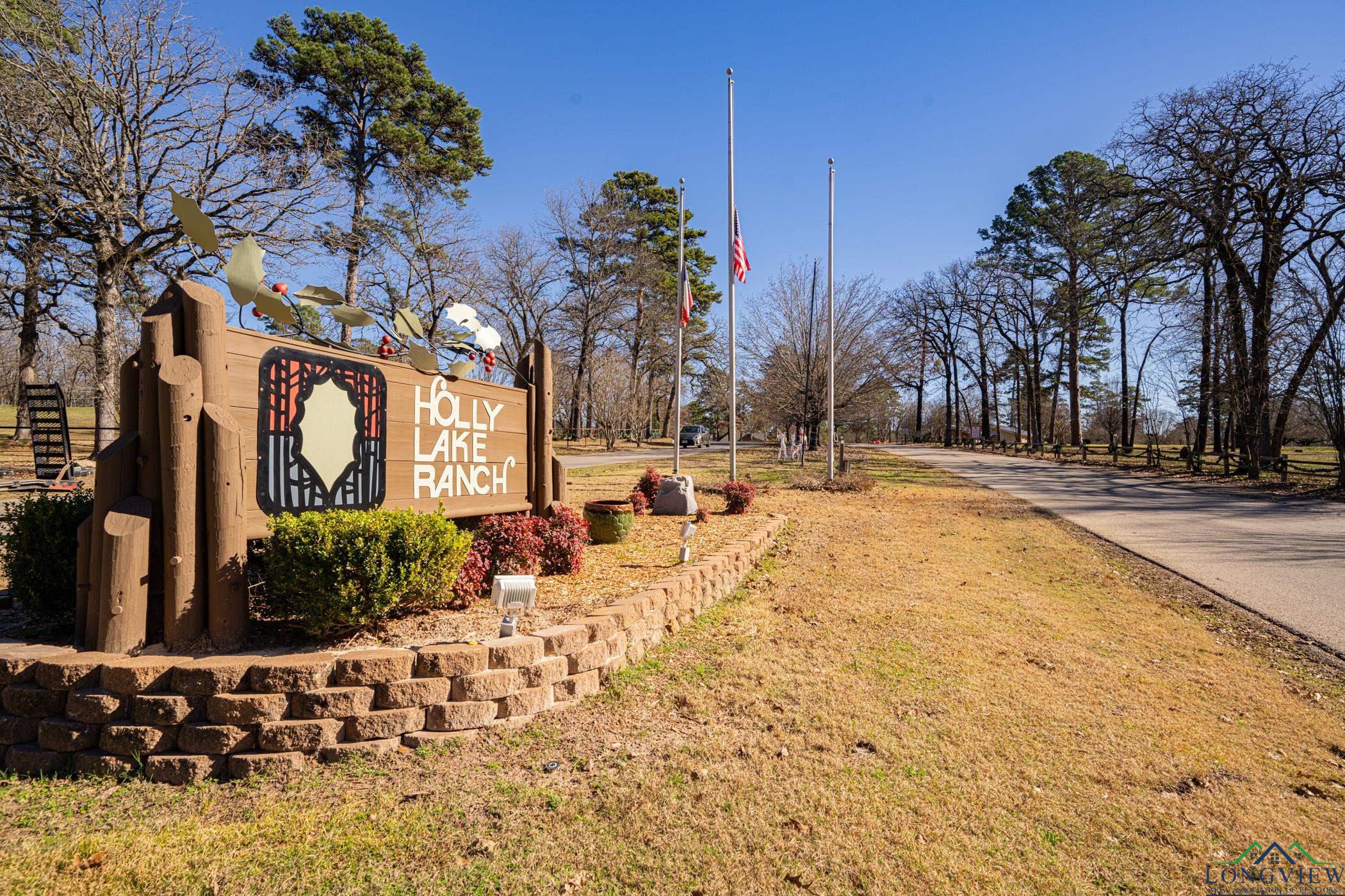 144 Pine Branch Glen, Holly Lake Ranch, Texas image 25