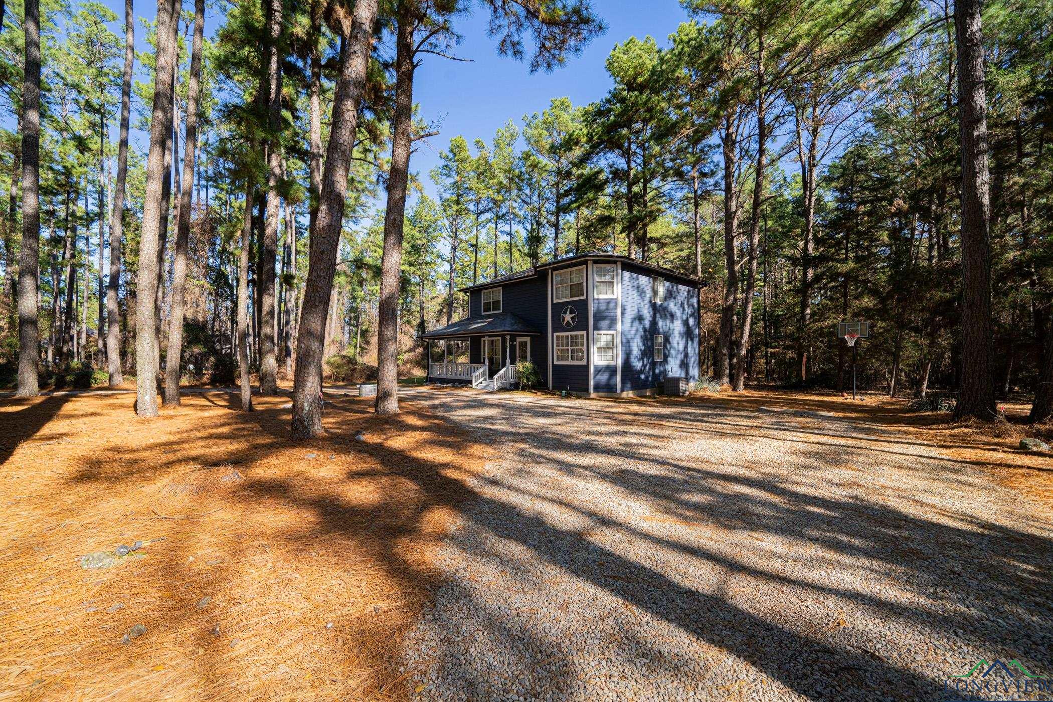 144 Pine Branch Glen, Holly Lake Ranch, Texas image 21