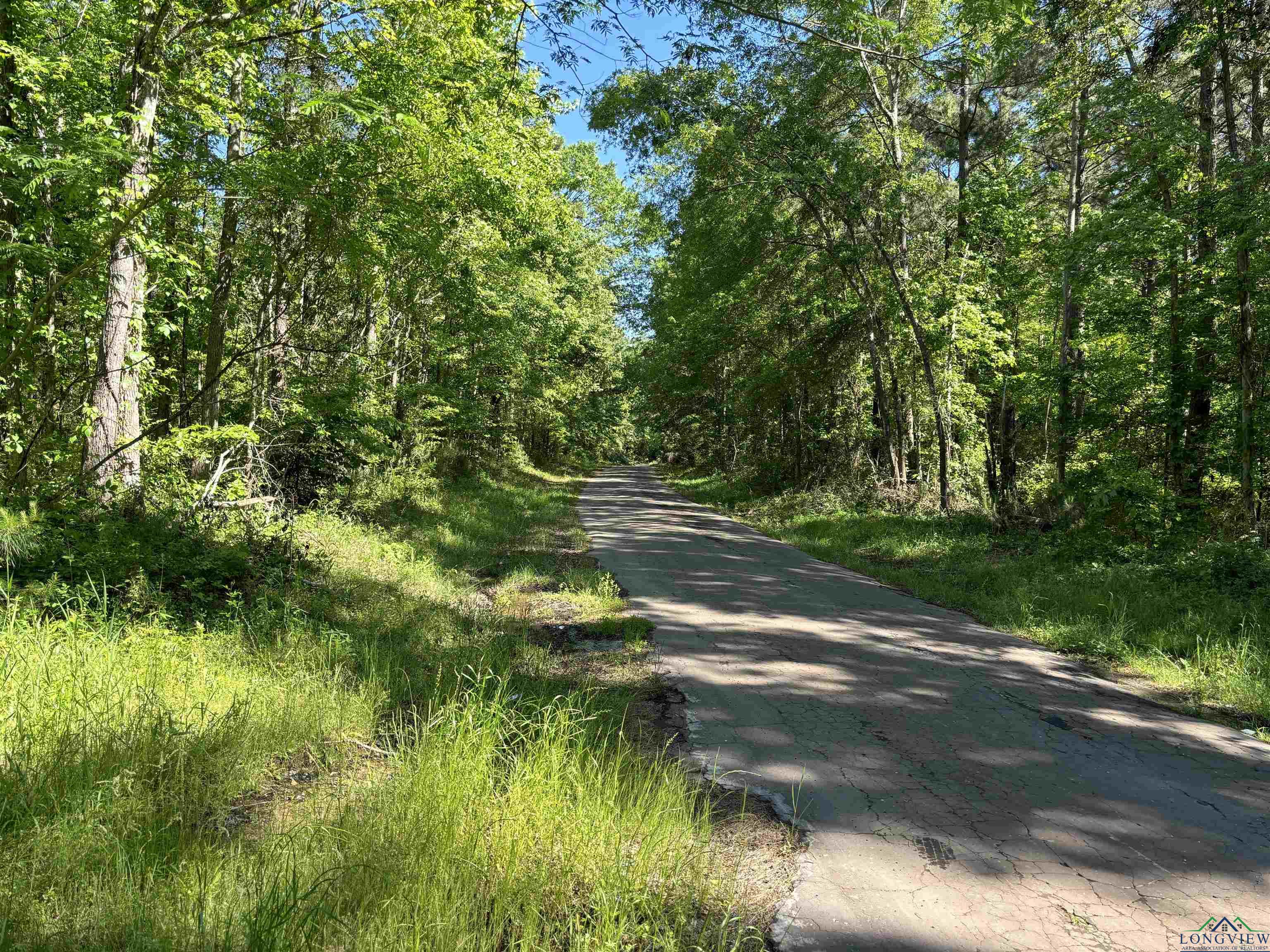 TBD Cr 3665, Queen City, Texas image 10