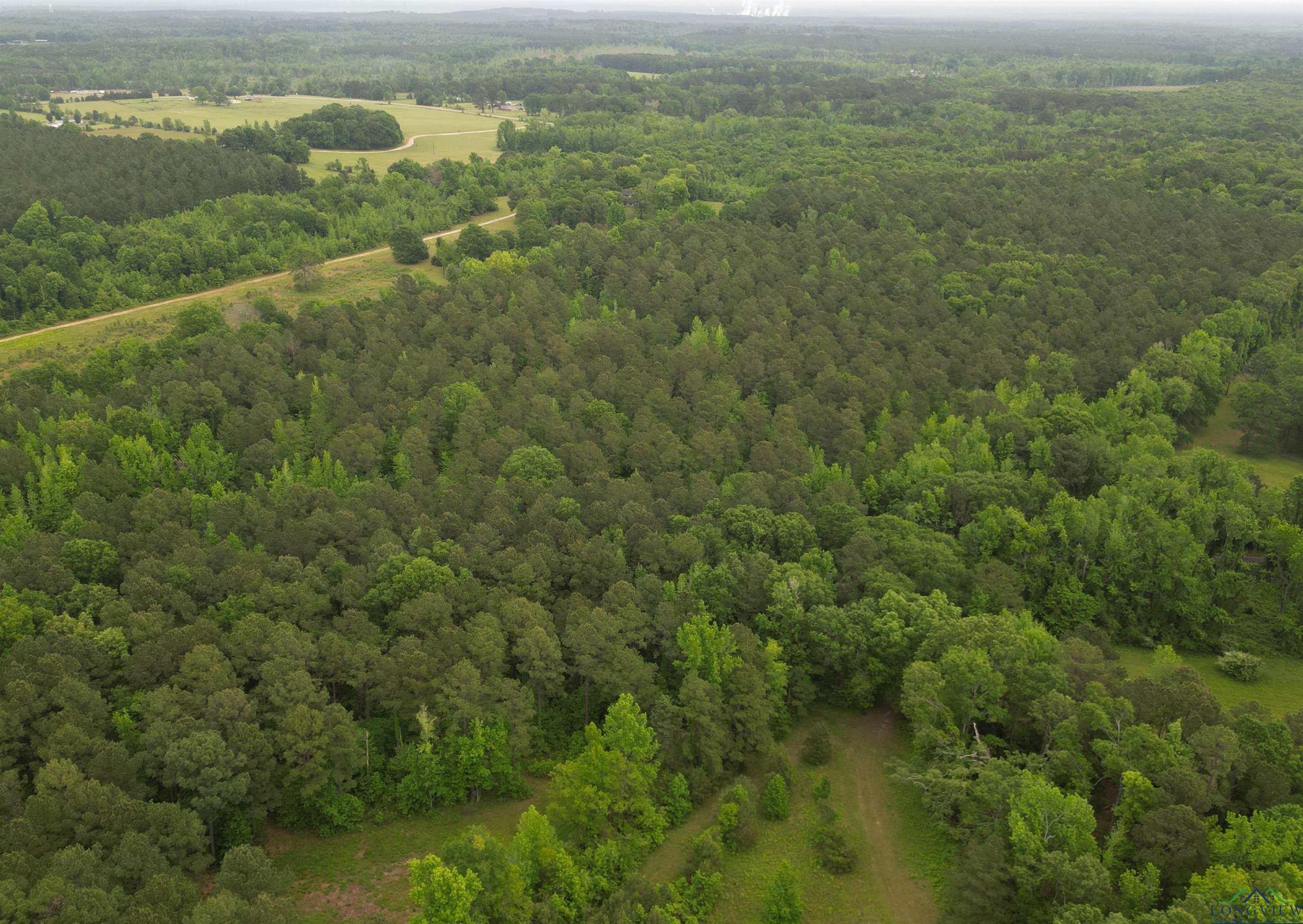 TBD Cr 3665, Queen City, Texas image 4