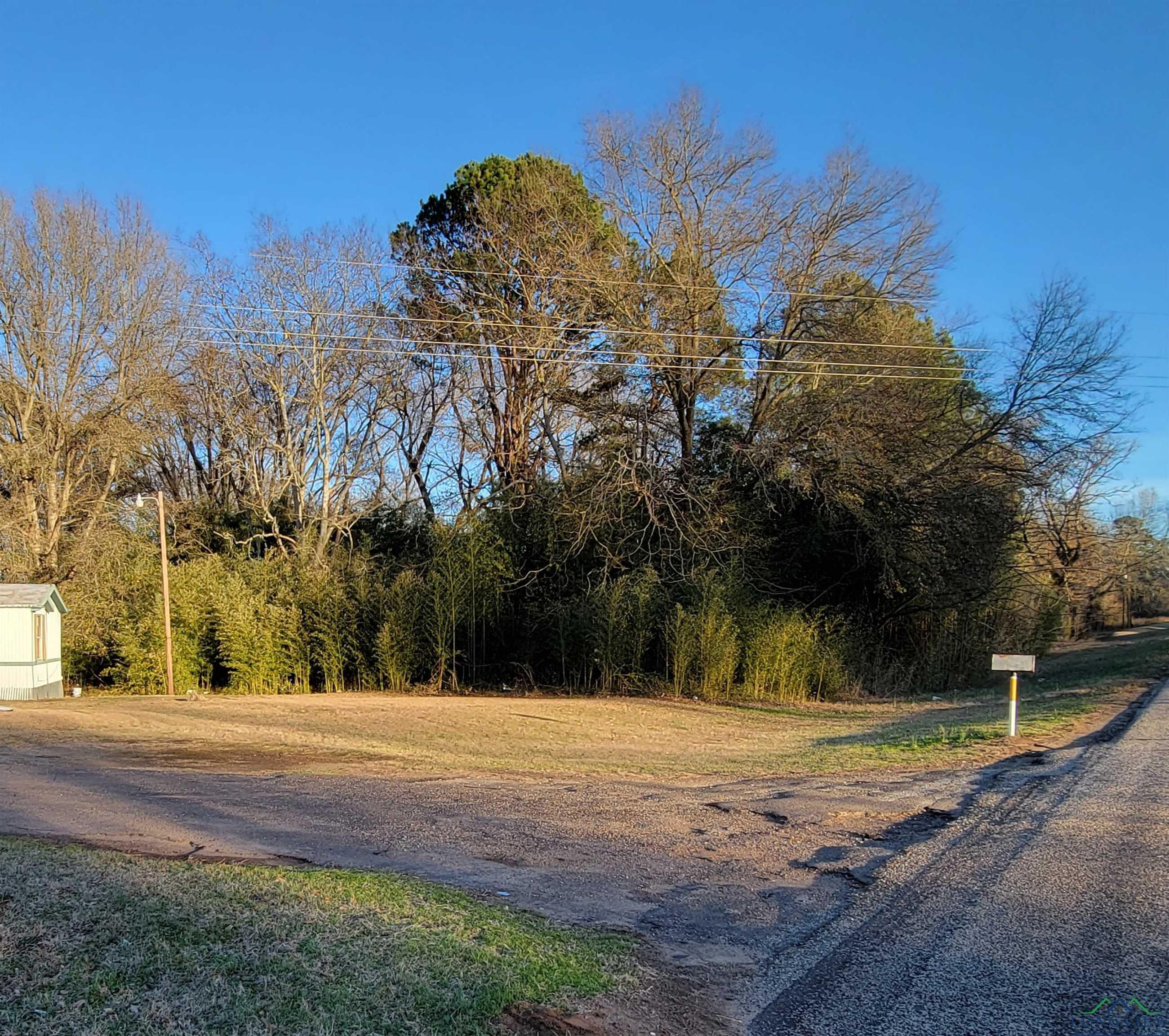 TBD W Hwy 49, Daingerfield, Texas image 1