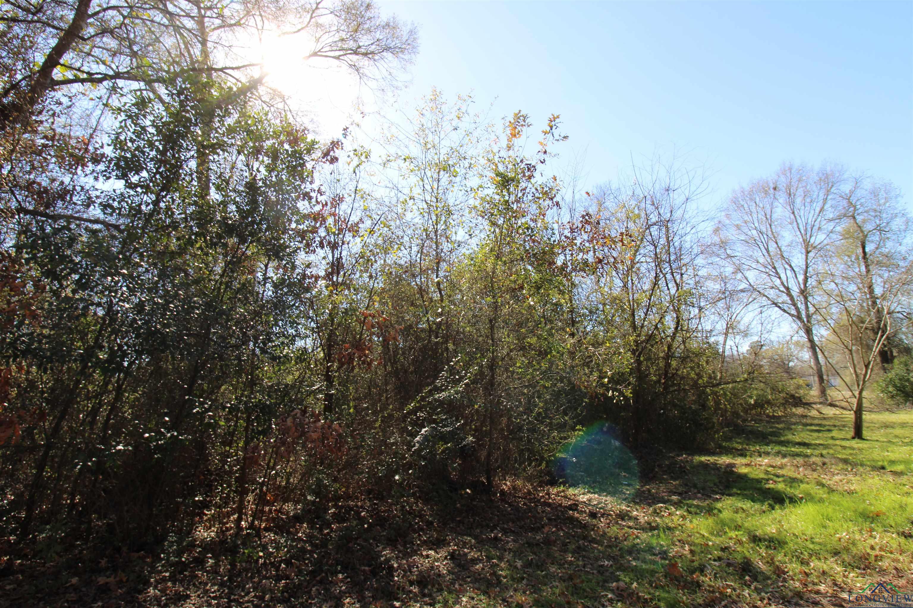 1520 Gay St, Longview, Texas image 5