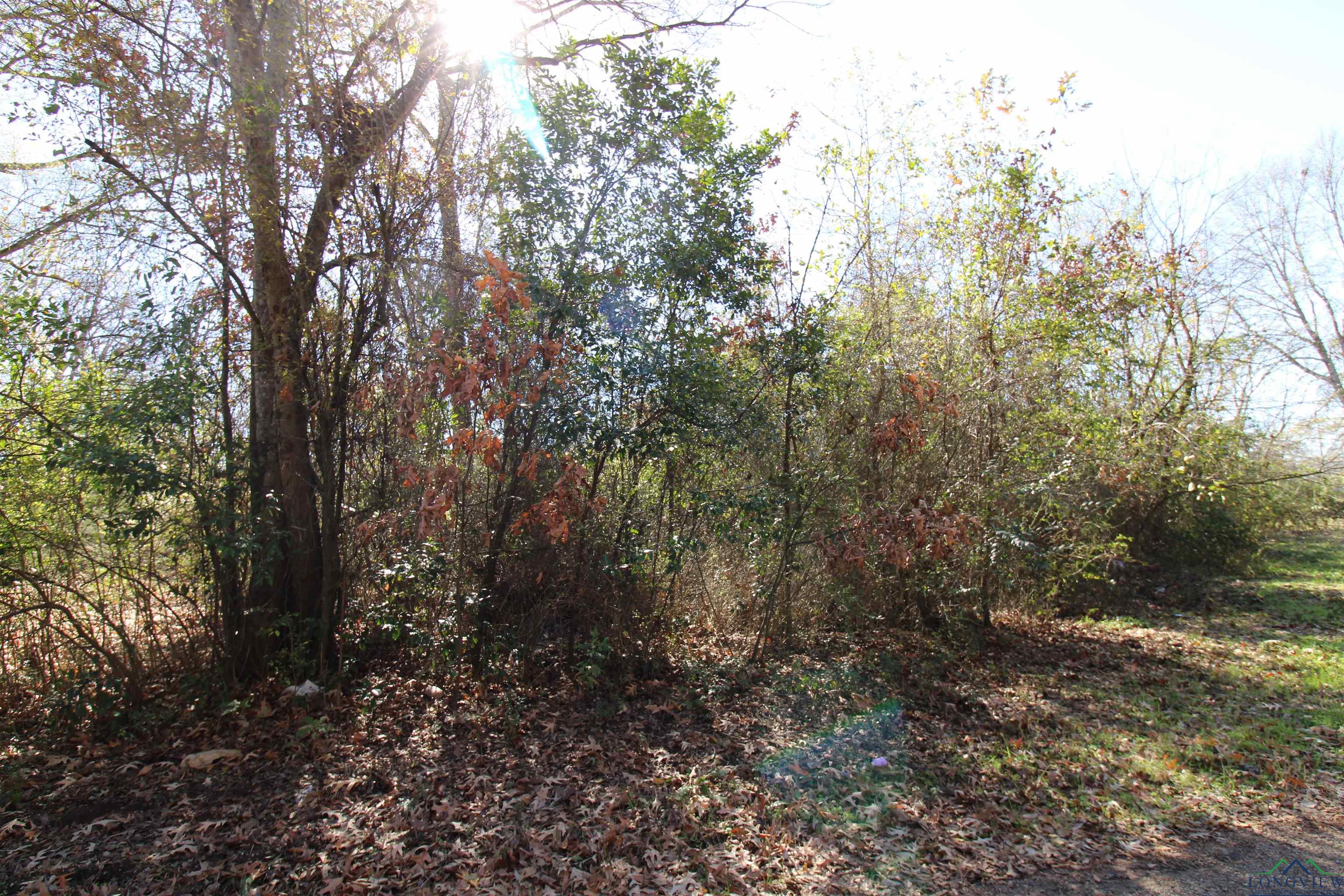 1520 Gay St, Longview, Texas image 4