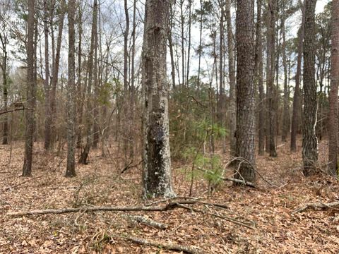 Vacant Land For Sale - TRACT 2 Venus Rd<br/> White Oak, TX 75693