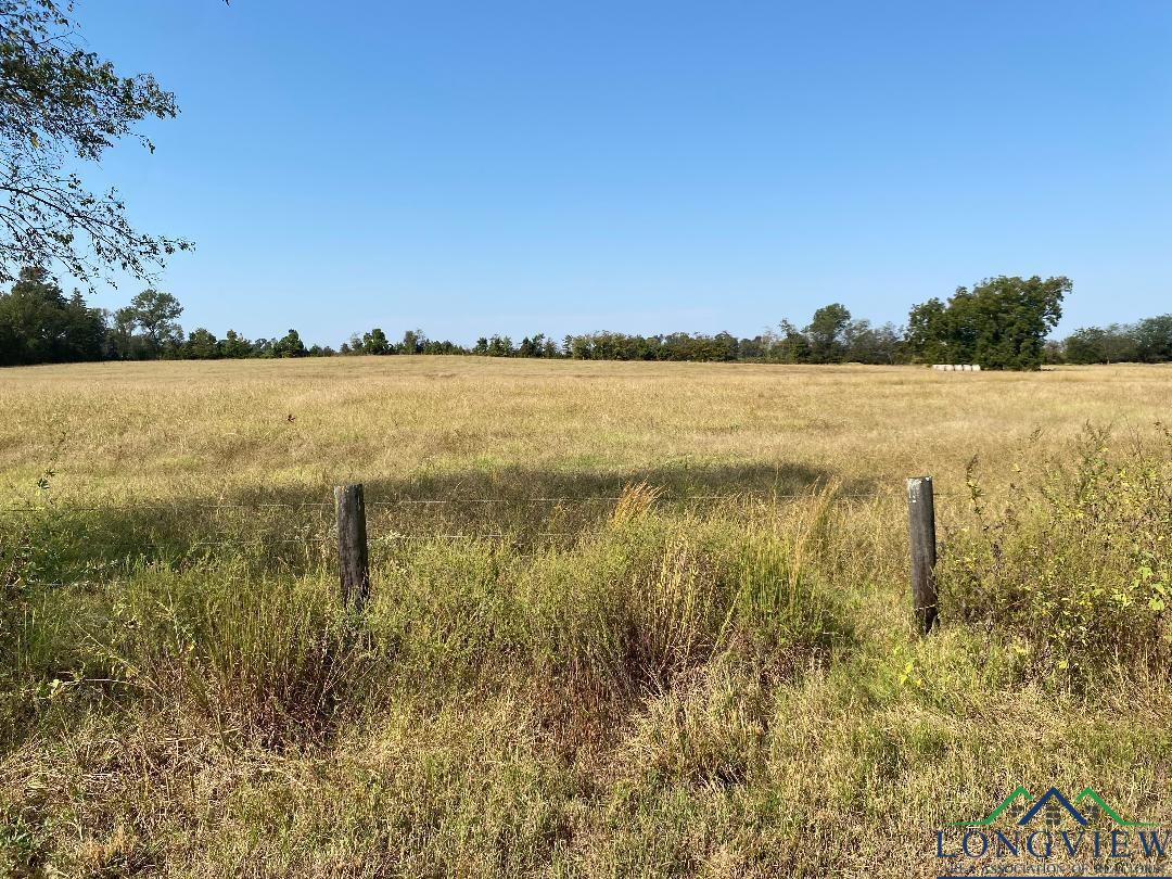 Tbd Cr 3318, Pittsburg, Texas image 7