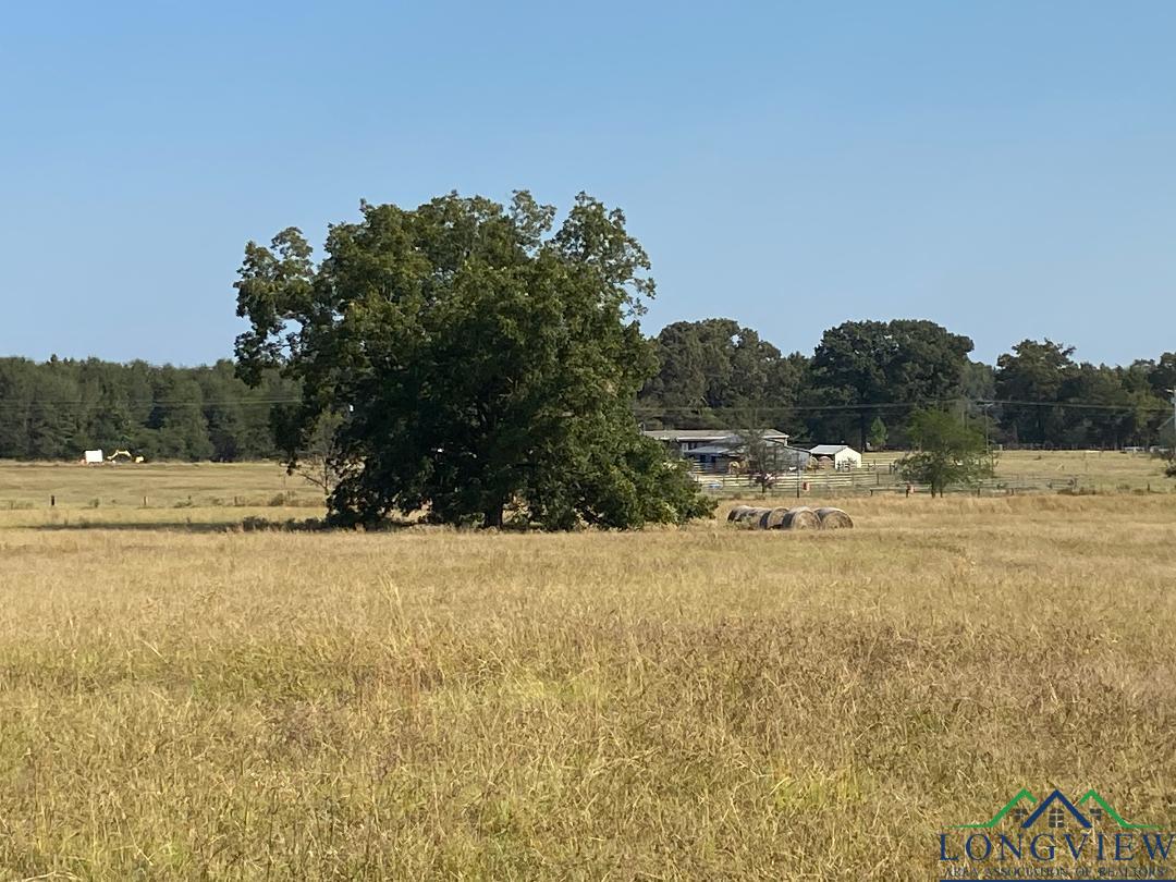 Tbd Cr 3318, Pittsburg, Texas image 9