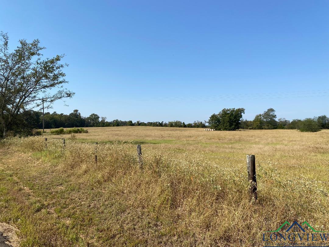 Tbd Cr 3318, Pittsburg, Texas image 6