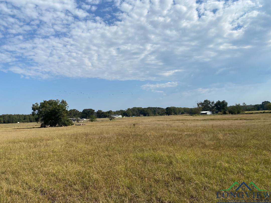 Tbd Cr 3318, Pittsburg, Texas image 3