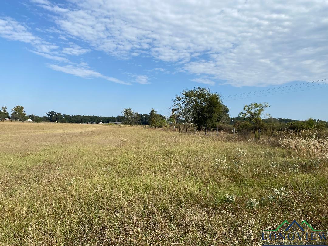 Tbd Cr 3318, Pittsburg, Texas image 4