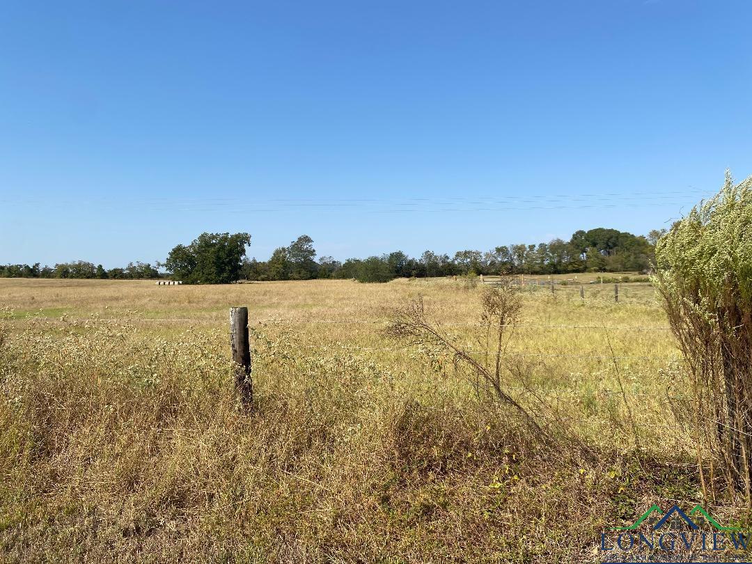 Tbd Cr 3318, Pittsburg, Texas image 8