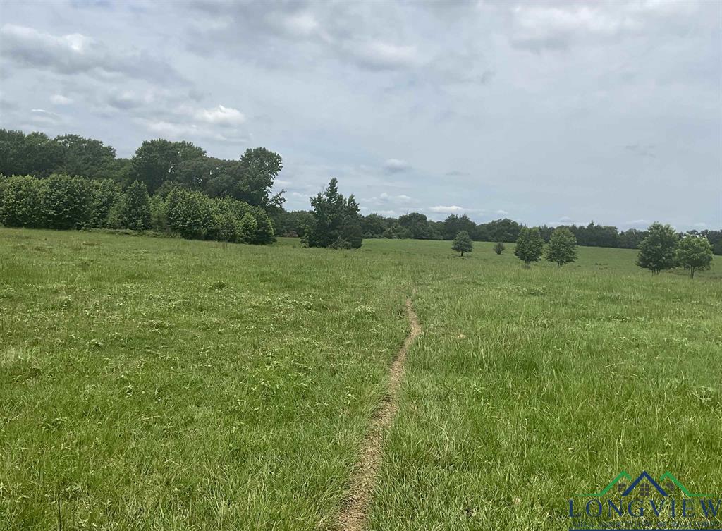 TBD Cr 2314, Pittsburg, Texas image 1