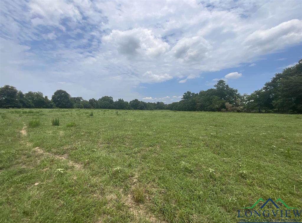 TBD Cr 2314, Pittsburg, Texas image 7