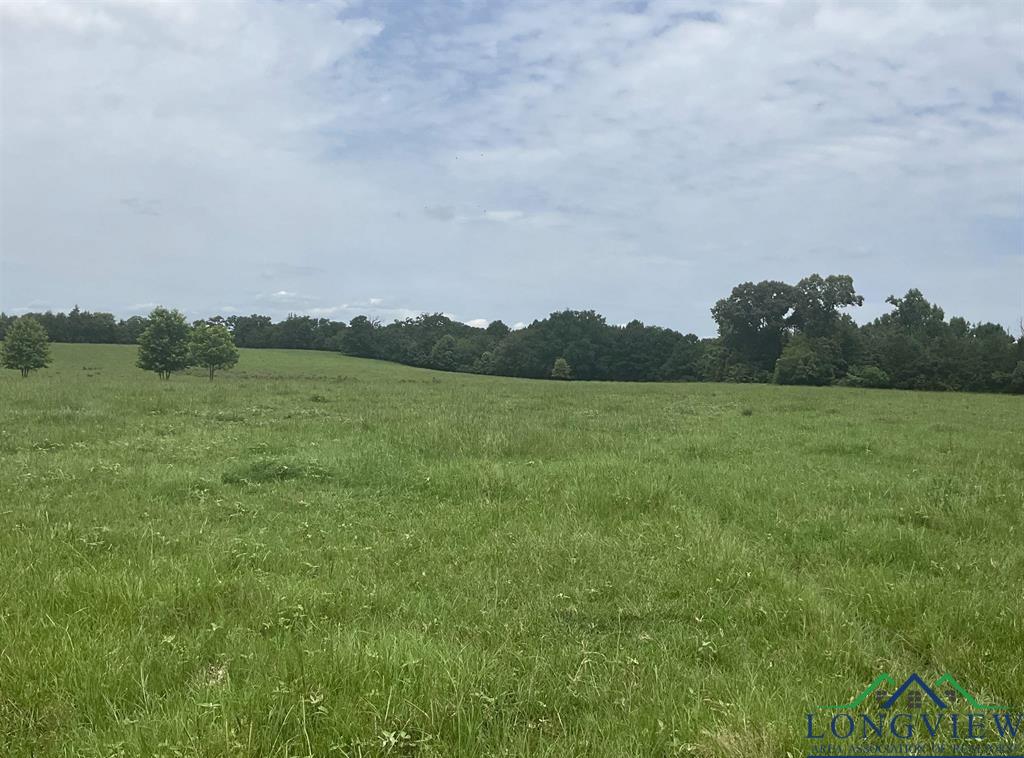 TBD Cr 2314, Pittsburg, Texas image 3