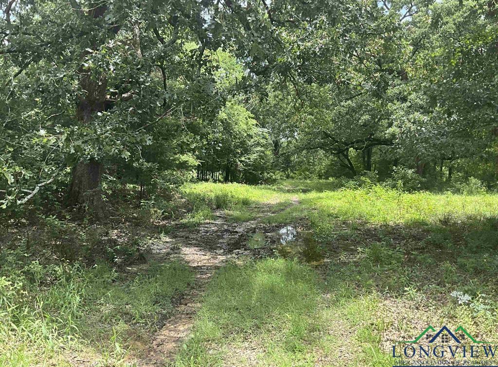 TBD Cr 2314, Pittsburg, Texas image 8