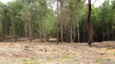 Homes For Sale - 13 AC Fm 134<br/> Jefferson, TX 75657