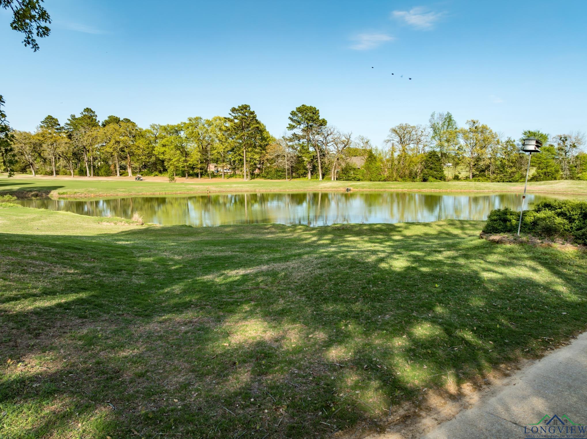 161 Dogwood Lakes Cir, Bullard, Texas image 46